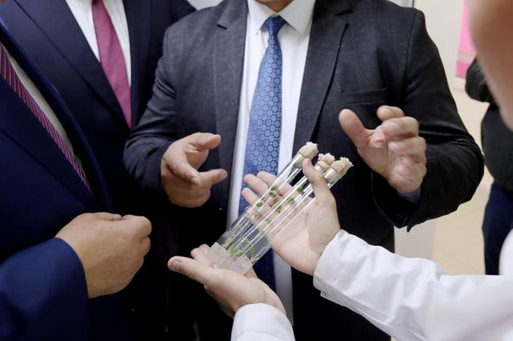 Семена местной селекции решили активно продвигать в Сибири