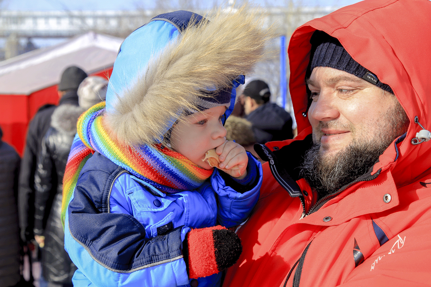 Немногословные и гостеприимные: образ сибиряка составили филологи