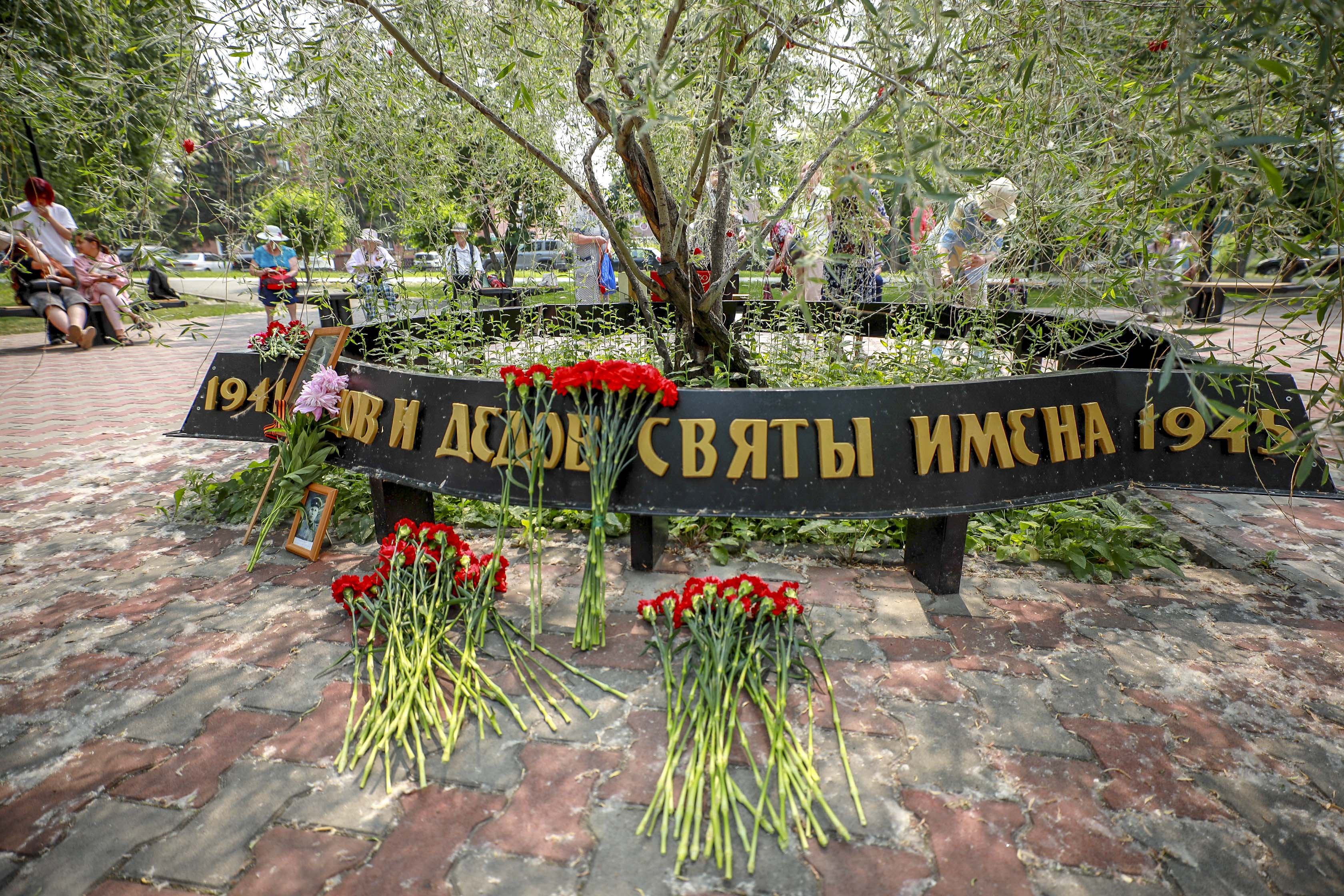 День памяти и скорби встретили новосибирцы у «Плакучей ивушки»