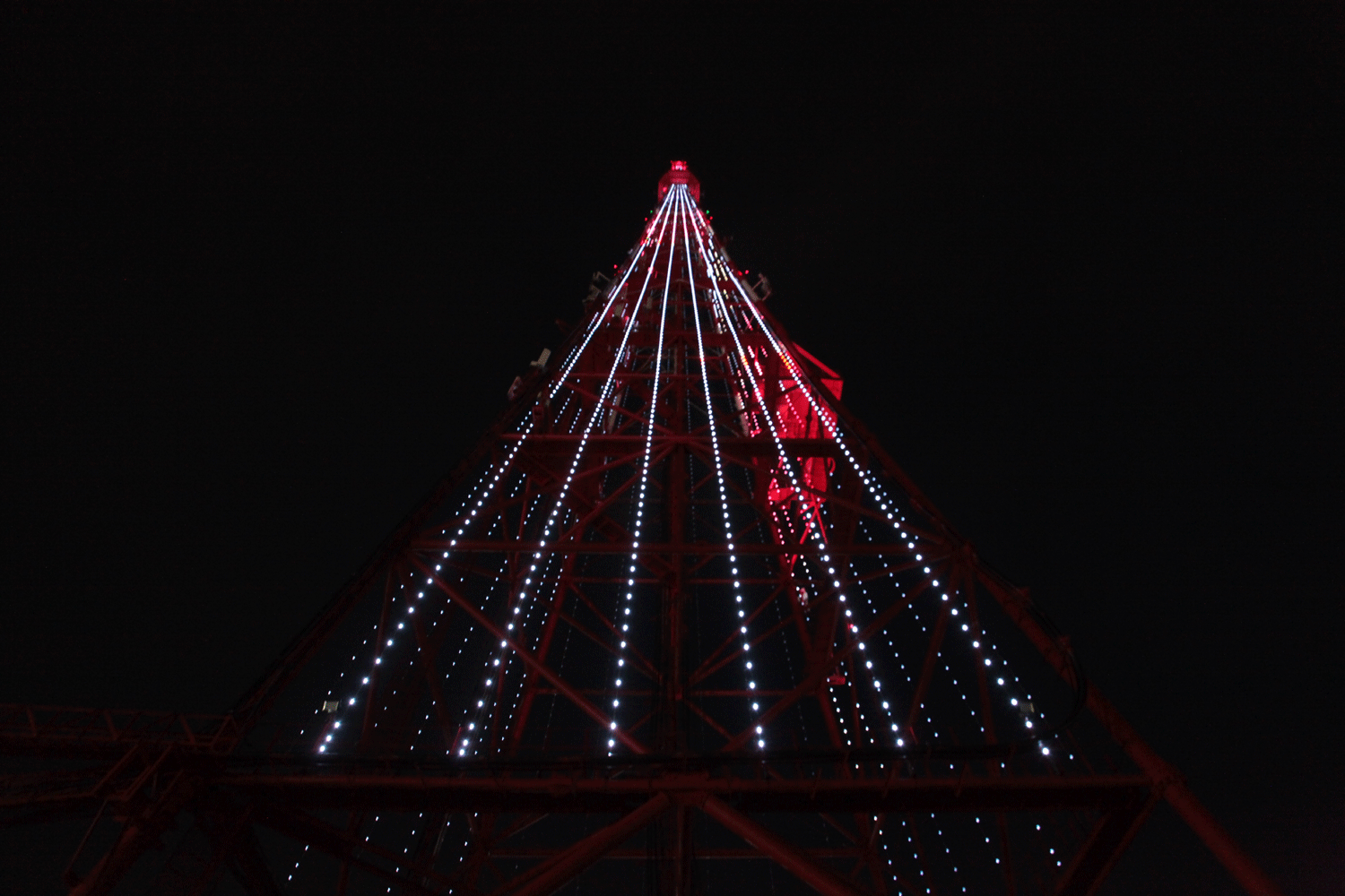 Новосибирская телебашня изменит подсветку в честь 10-летия Росгвардии