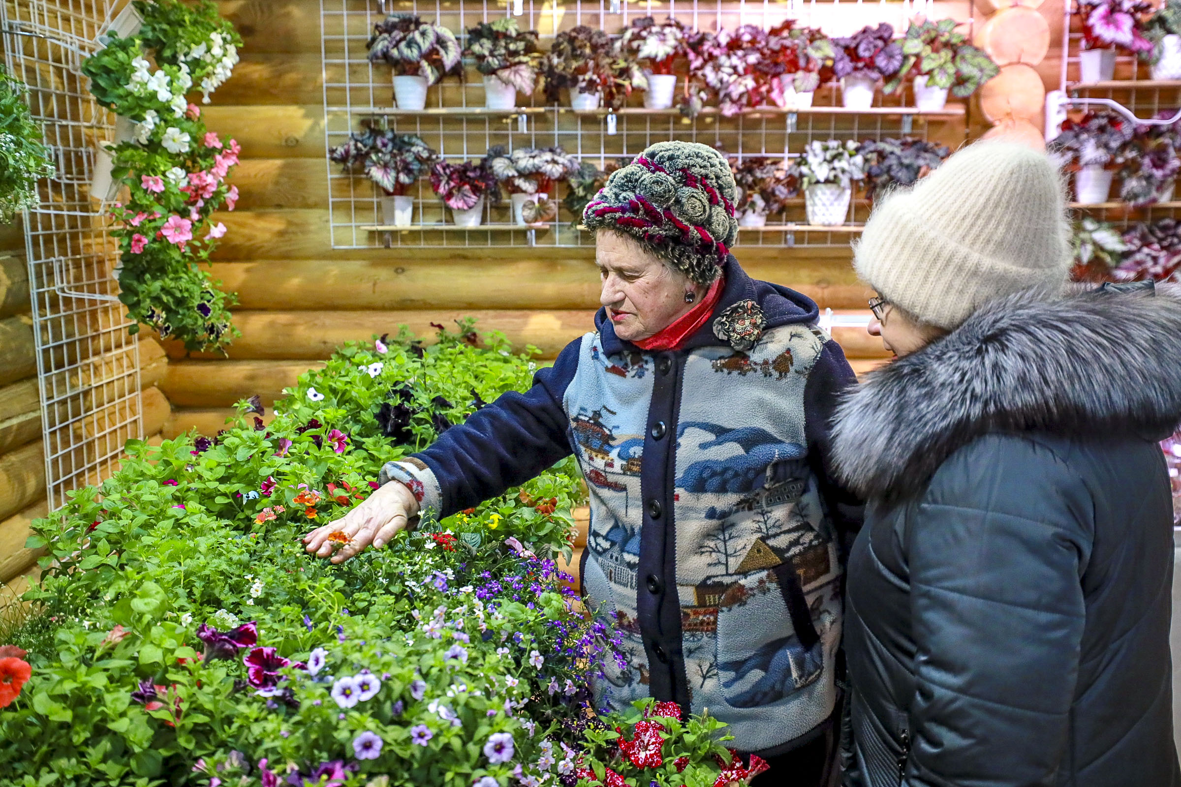 От инжира до папайи: комнатную экзотику покажут в Дачной академии