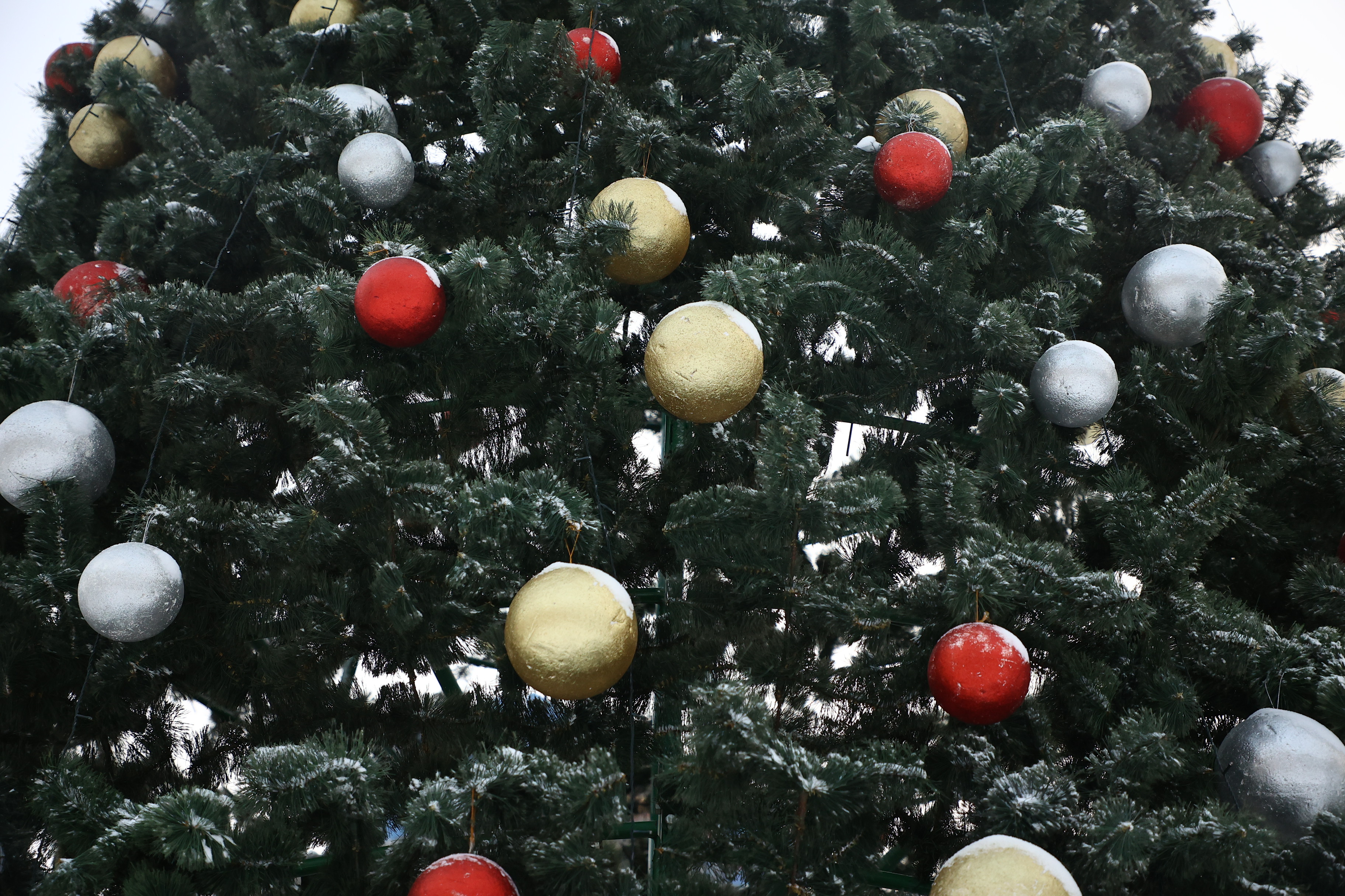 Школьники из Новосибирской области полетят на кремлёвскую ёлку в Москву