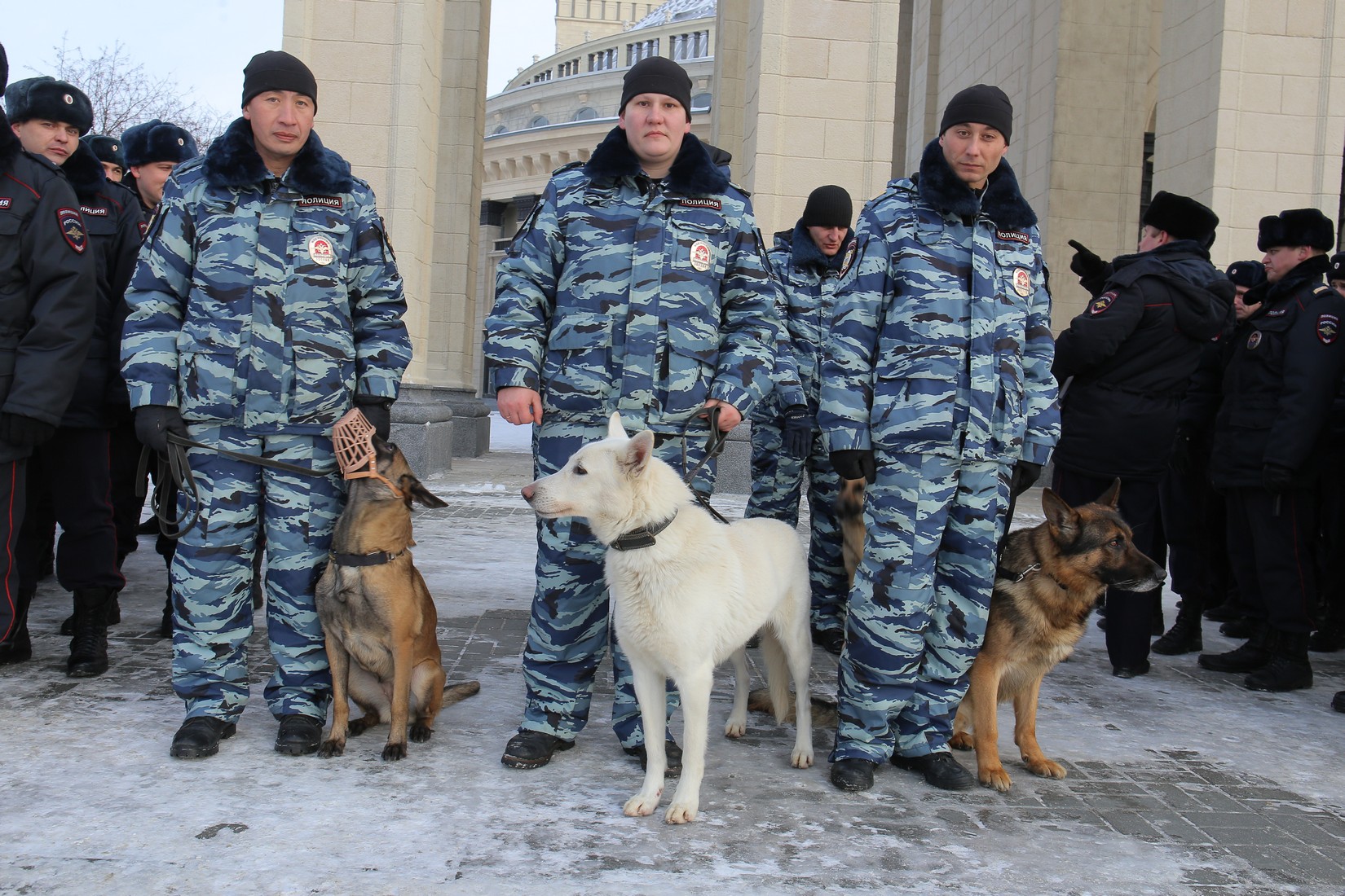 Новосибирцев просят оценить работу полиции и защиту от терроризма