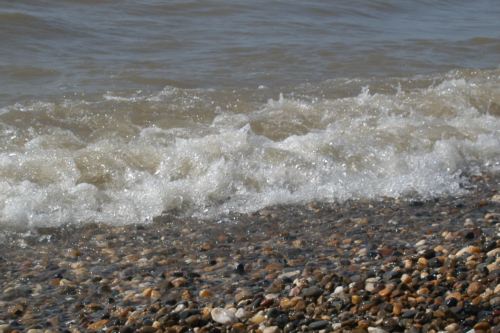 Волонтёр из Новосибирска раскрыла последствия ЧП с мазутом в Чёрном море