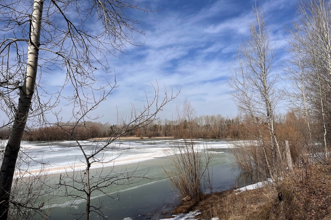 Губернатор Травников призвал готовиться к сложному паводку в Новосибирске