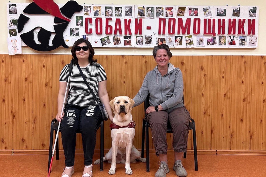 Собак-поводырей подгонят под ГОСТ: комментарий эксперта из Новосибирска