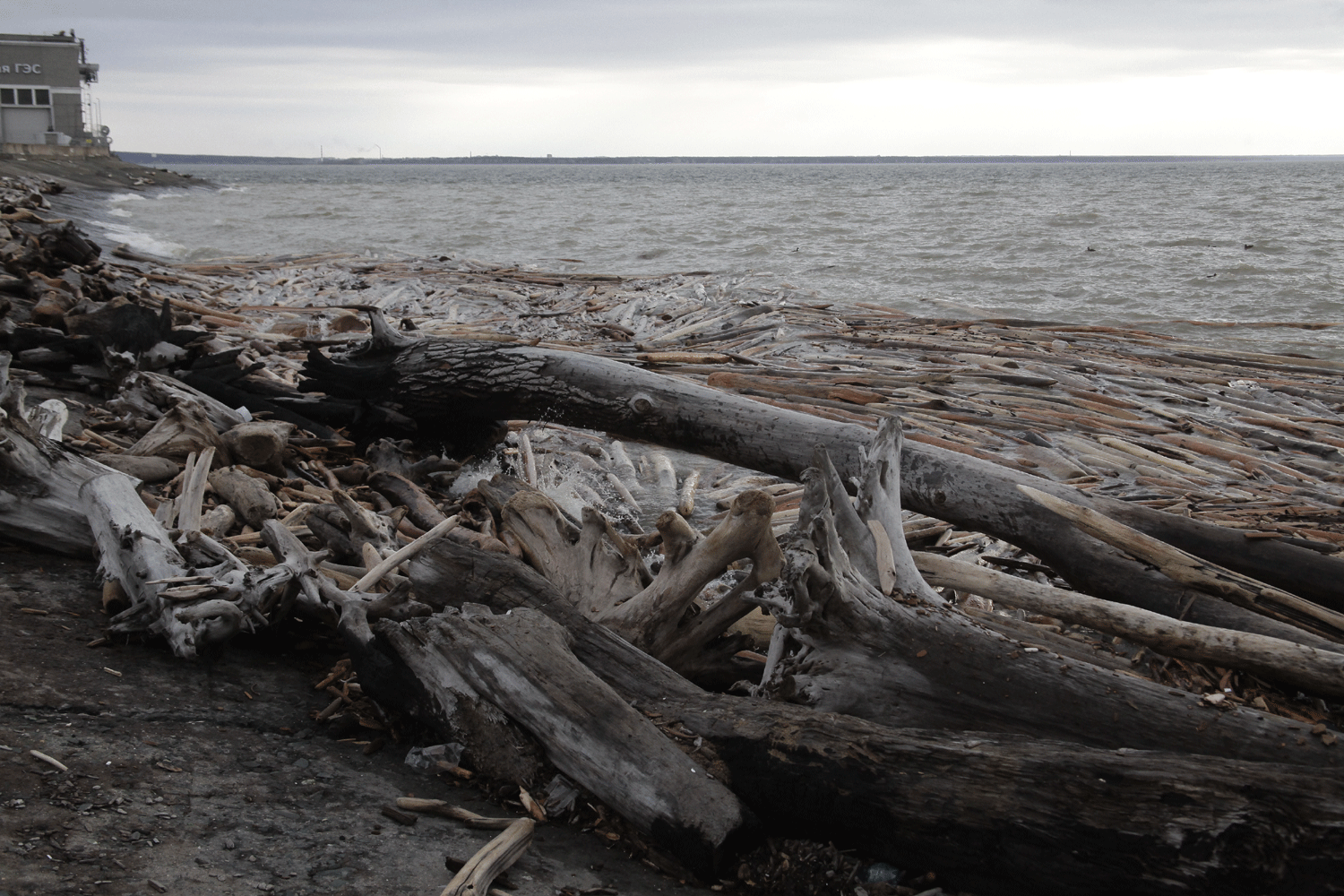 Рыбаков предупредили о повышении уровня реки Оби в Новосибирске
