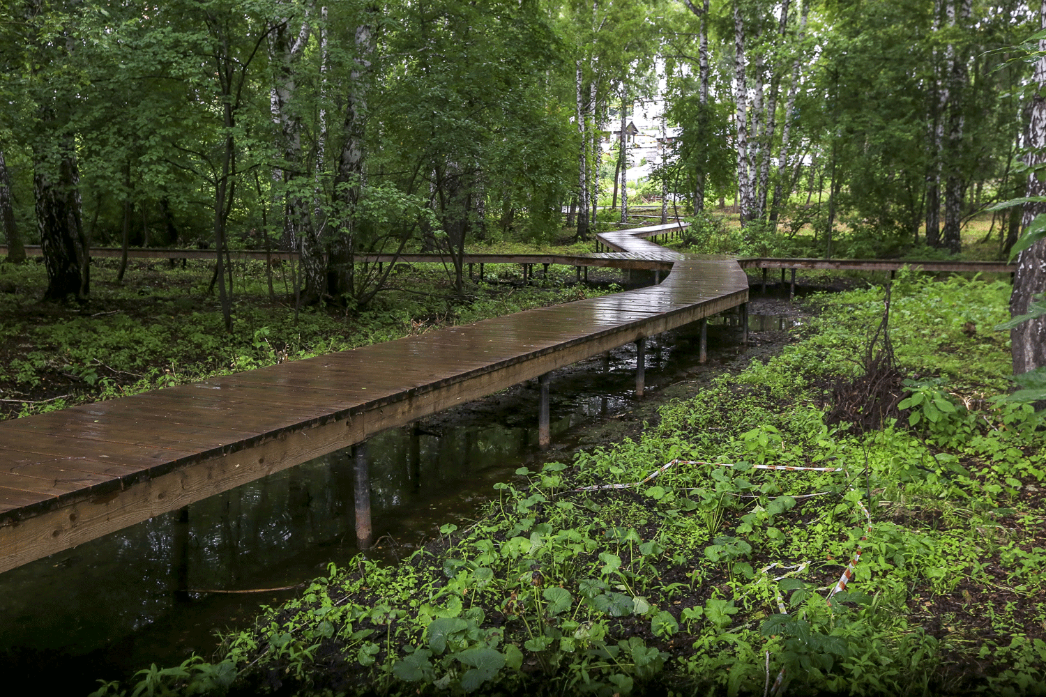 Выбрать скверы для благоустройства предложил новосибирцам мэр Кудрявцев