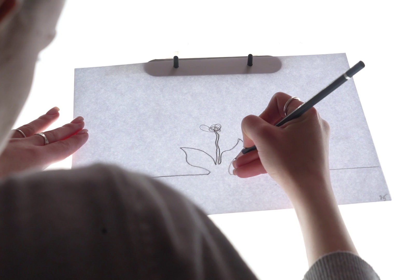 Анимация на кухонном столе: как создать мультфильм в домашних условиях