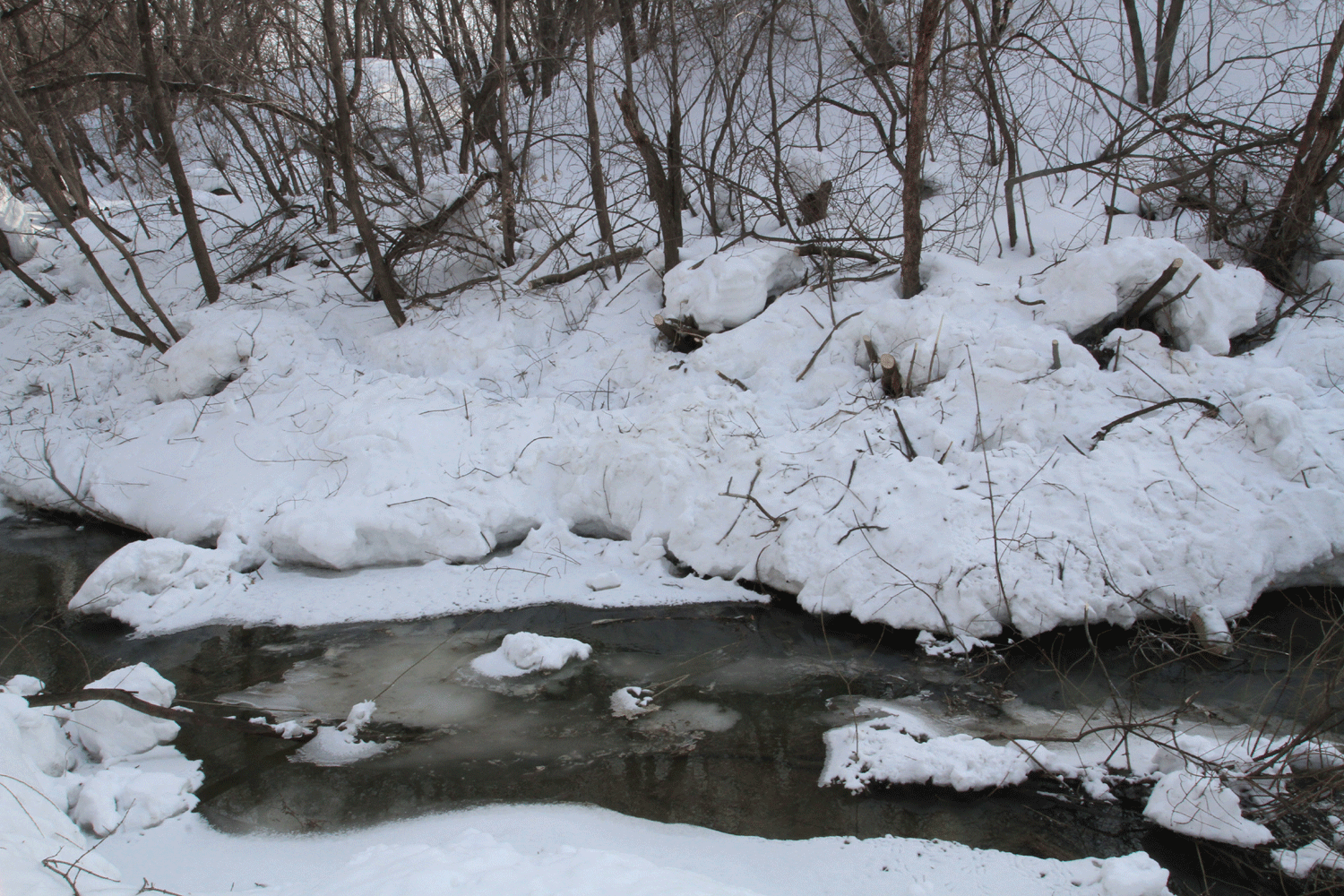 Энергетики защитили кабельные ЛЭП от разлива Ельцовки в Новосибирске