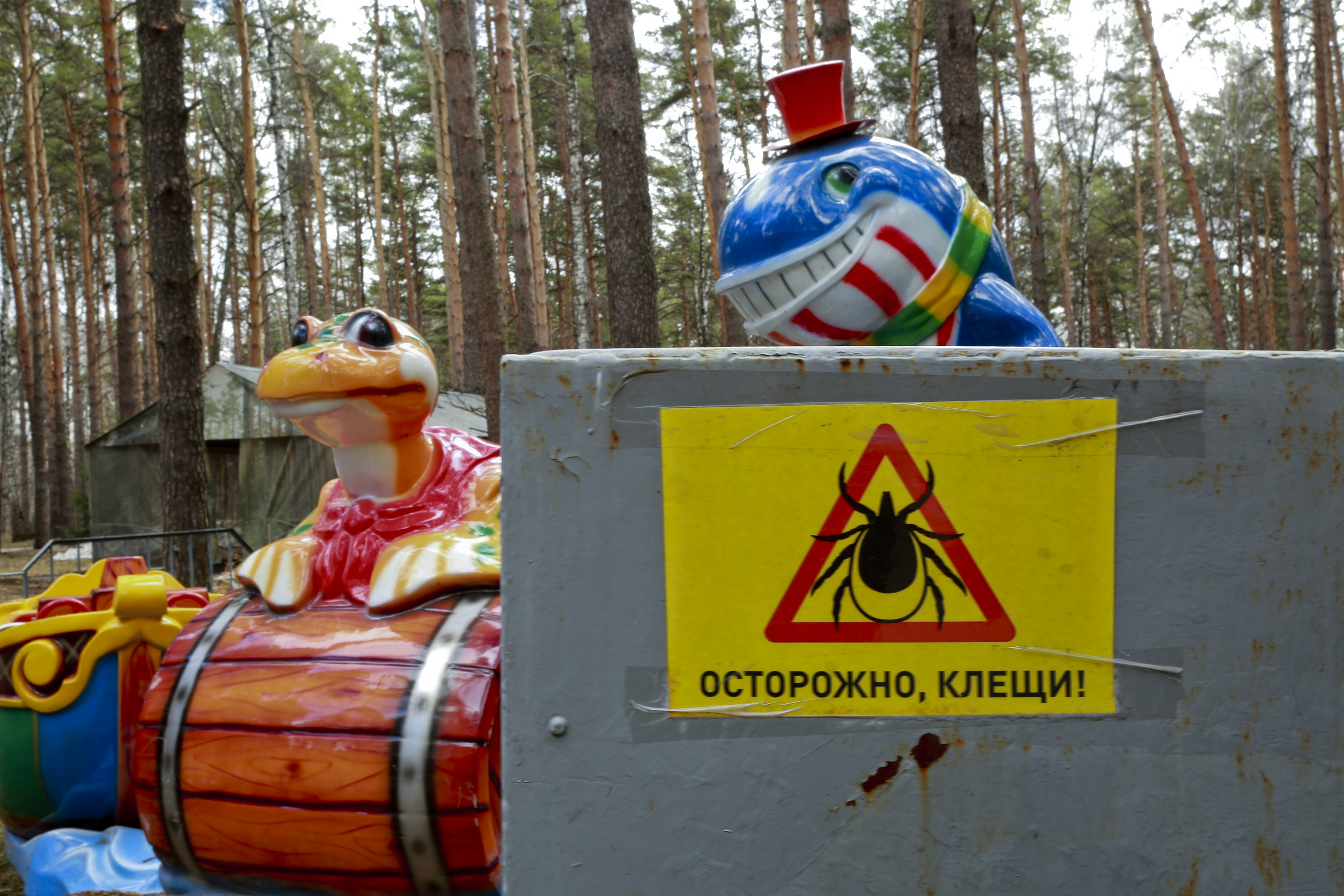 Проснувшиеся клещи укусили 27 жителей Новосибирской области