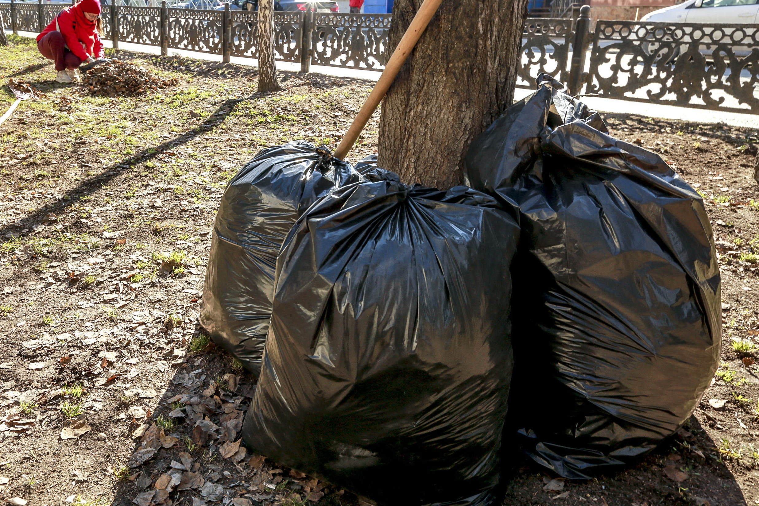 Новосибирцы наводят порядок в городе, не дожидаясь общего субботника