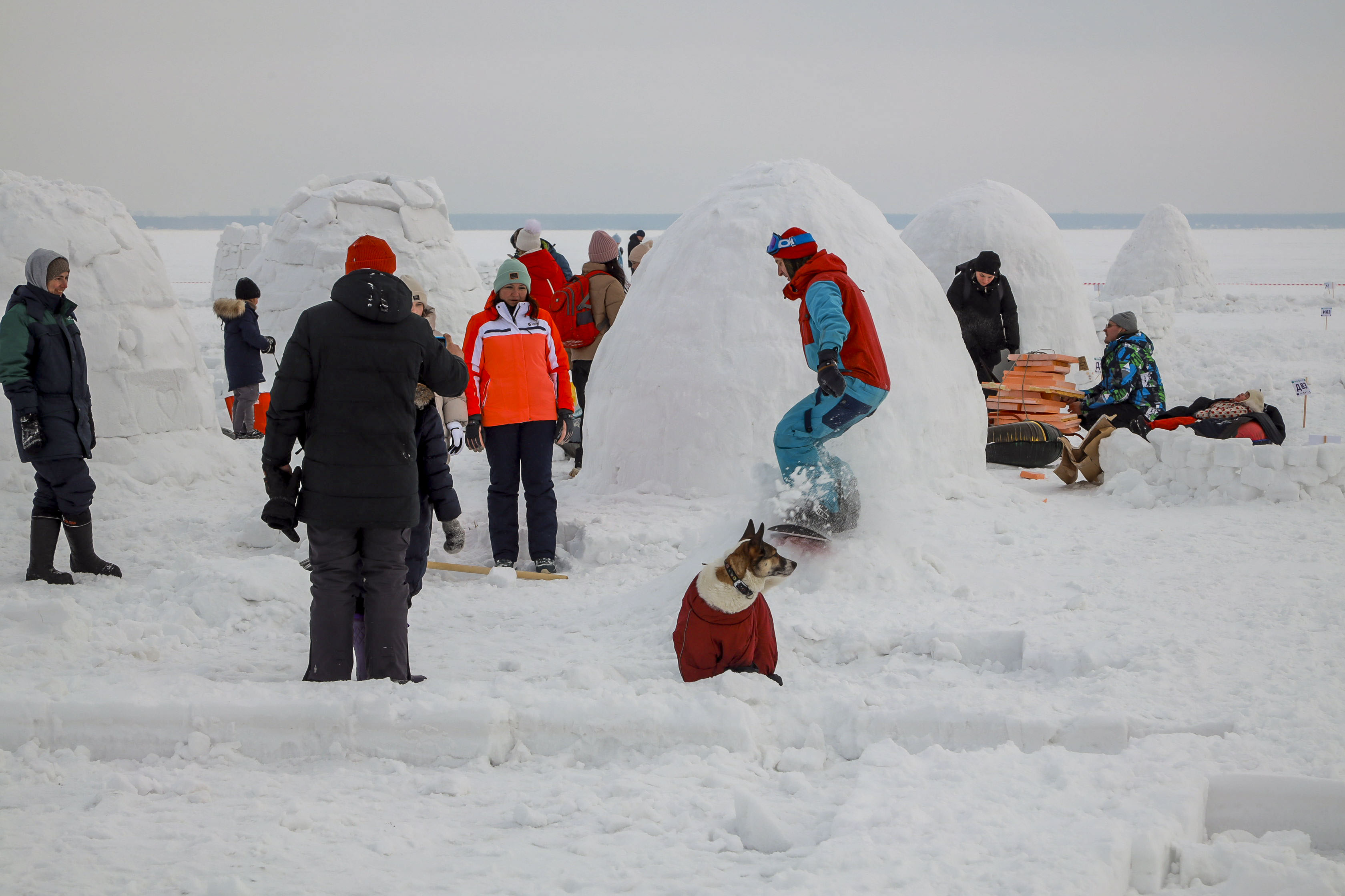Построить город эскимосов на Обском море предлагают новосибирцам