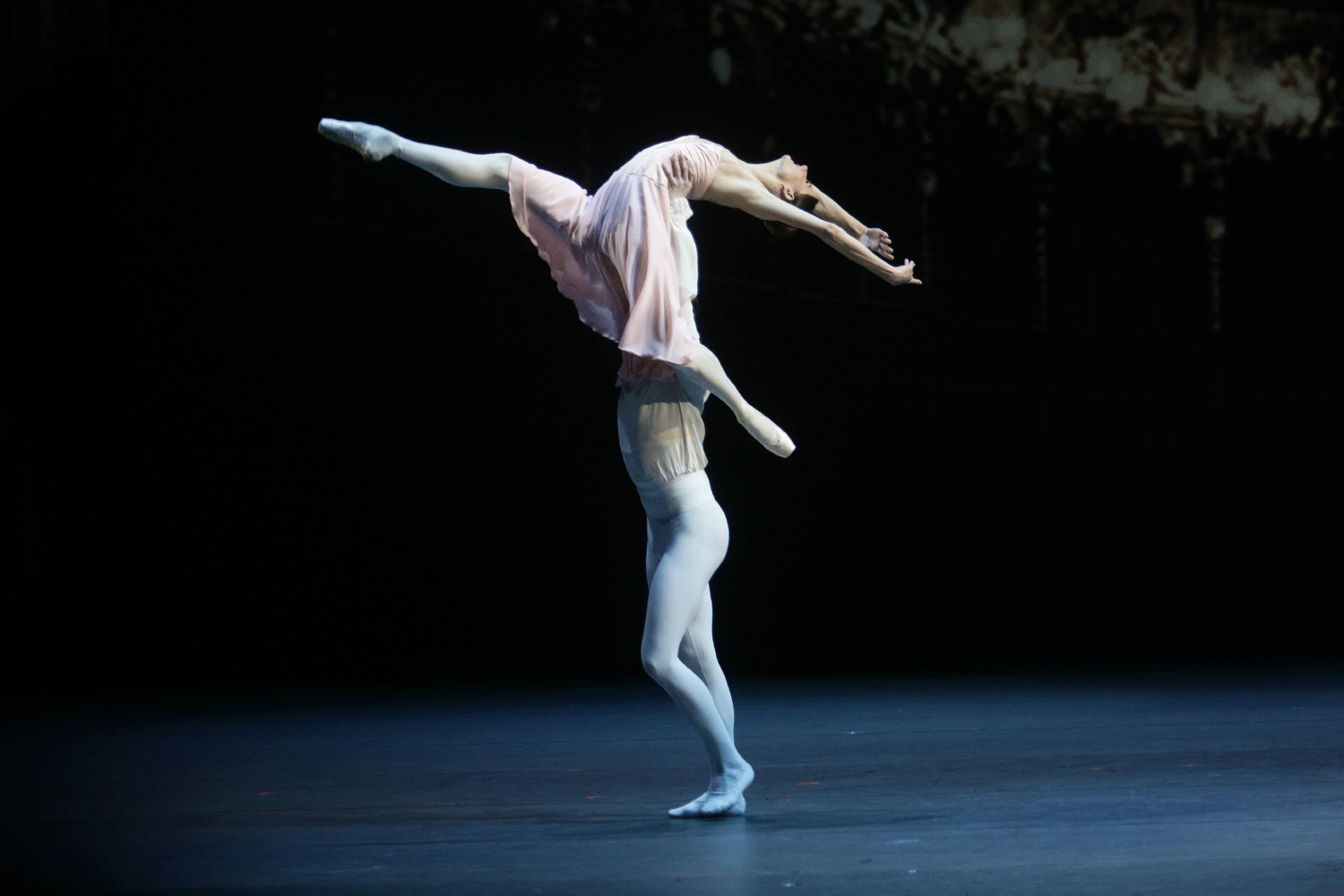 Больше 350 артистов досрочно вышли на пенсию в Новосибирской области