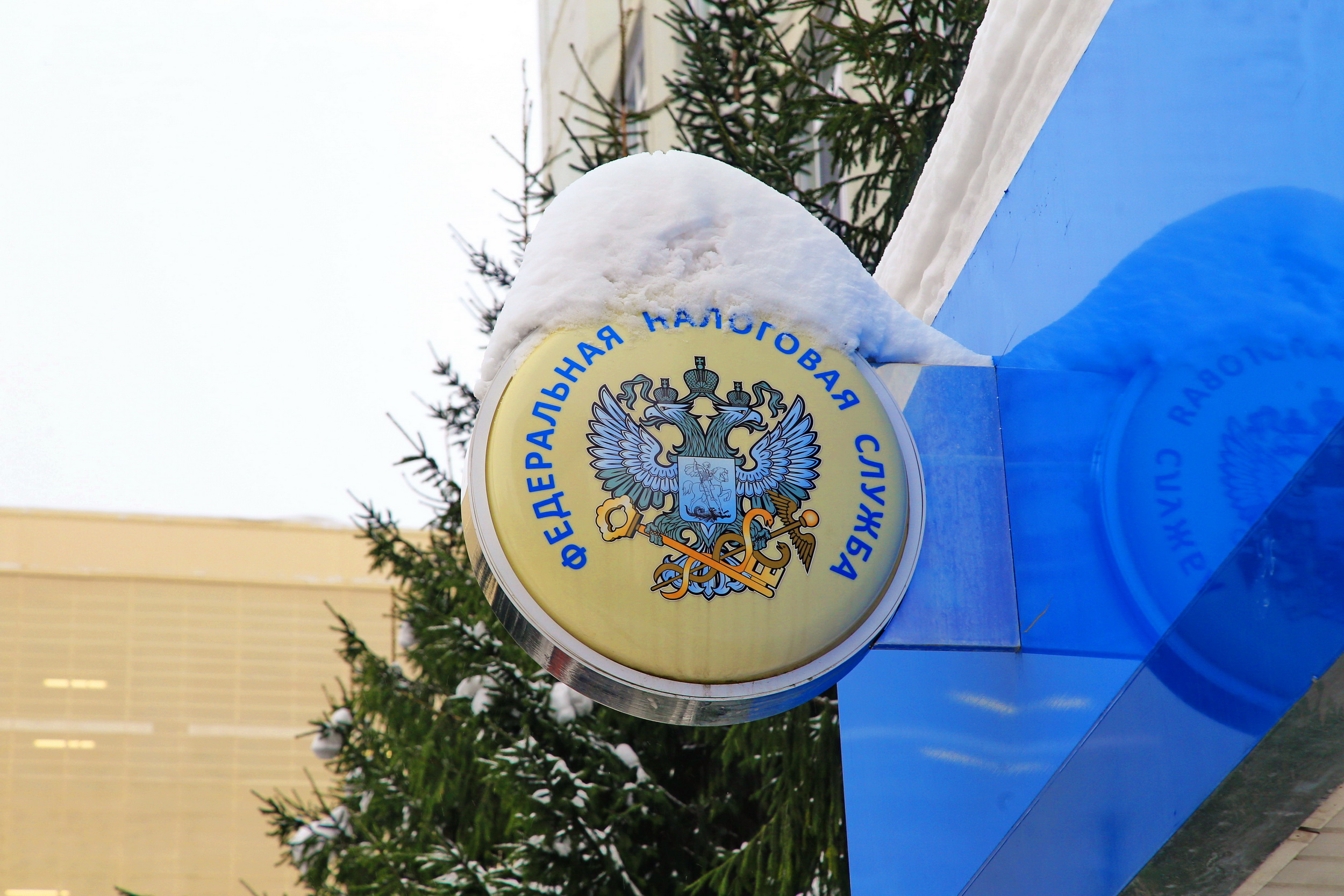 Как не допустить переплаты на едином налоговом счёте — рассказали в ФНС