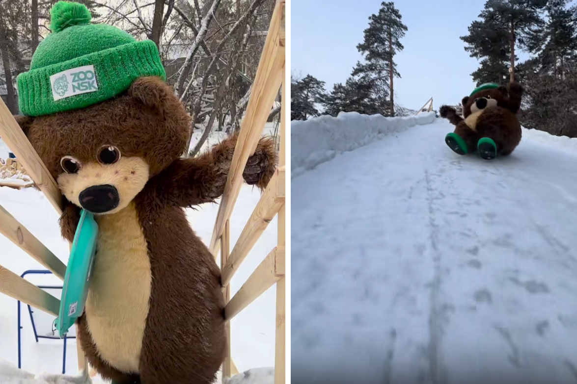 Горку с бесплатными ледянками открыли в Новосибирском зоопарке