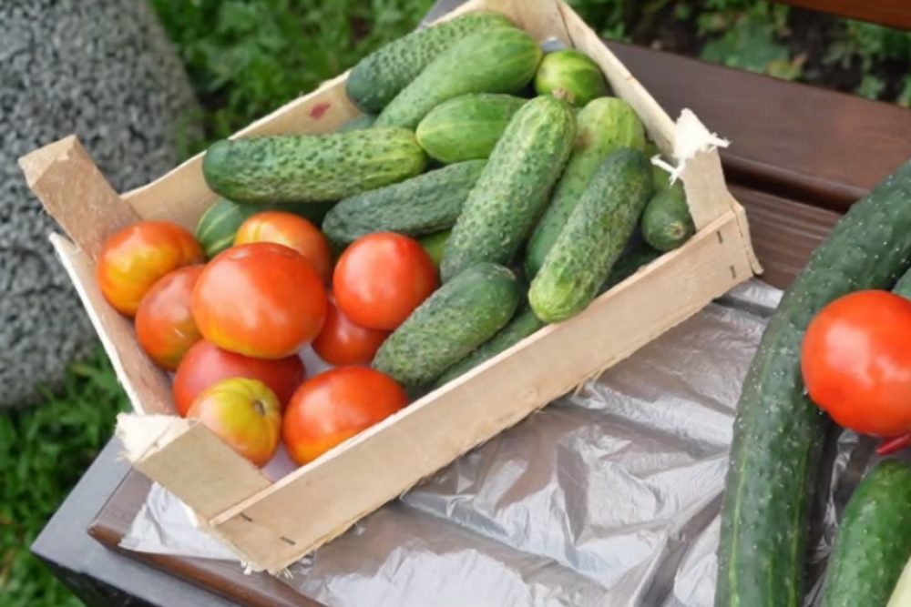 Какие продукты сильнее всего подорожали в Новосибирской области