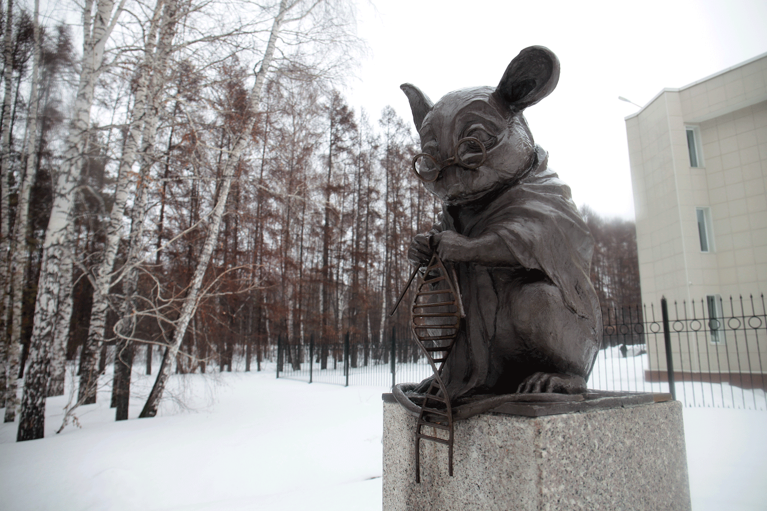 Первый в РФ научный экспресс соединит Новосибирск и Нижний Новгород