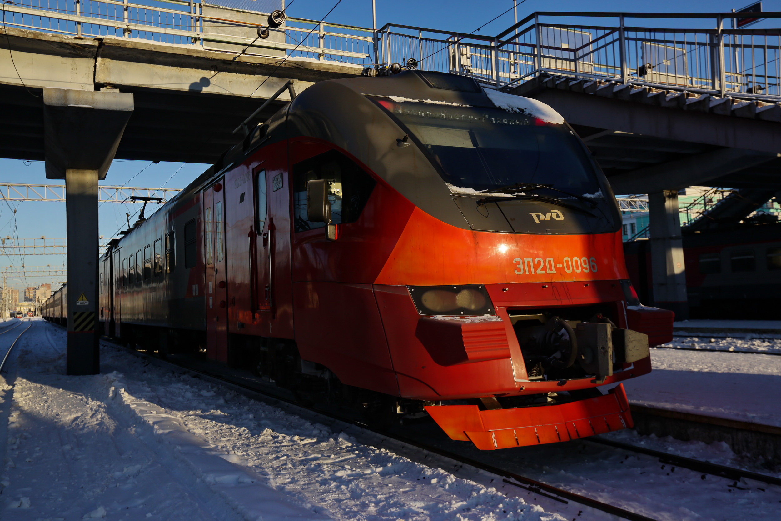 Бесплатная электричка увезёт новосибирцев на гонку «Лыжня России»