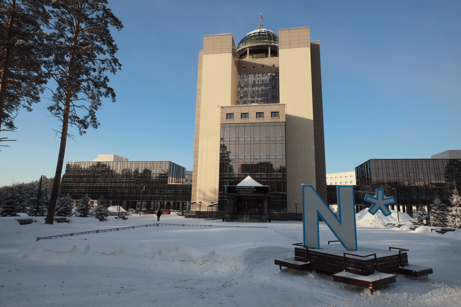 Учёные НГУ разработали сенсор для ранней диагностики рака по биомаркеру