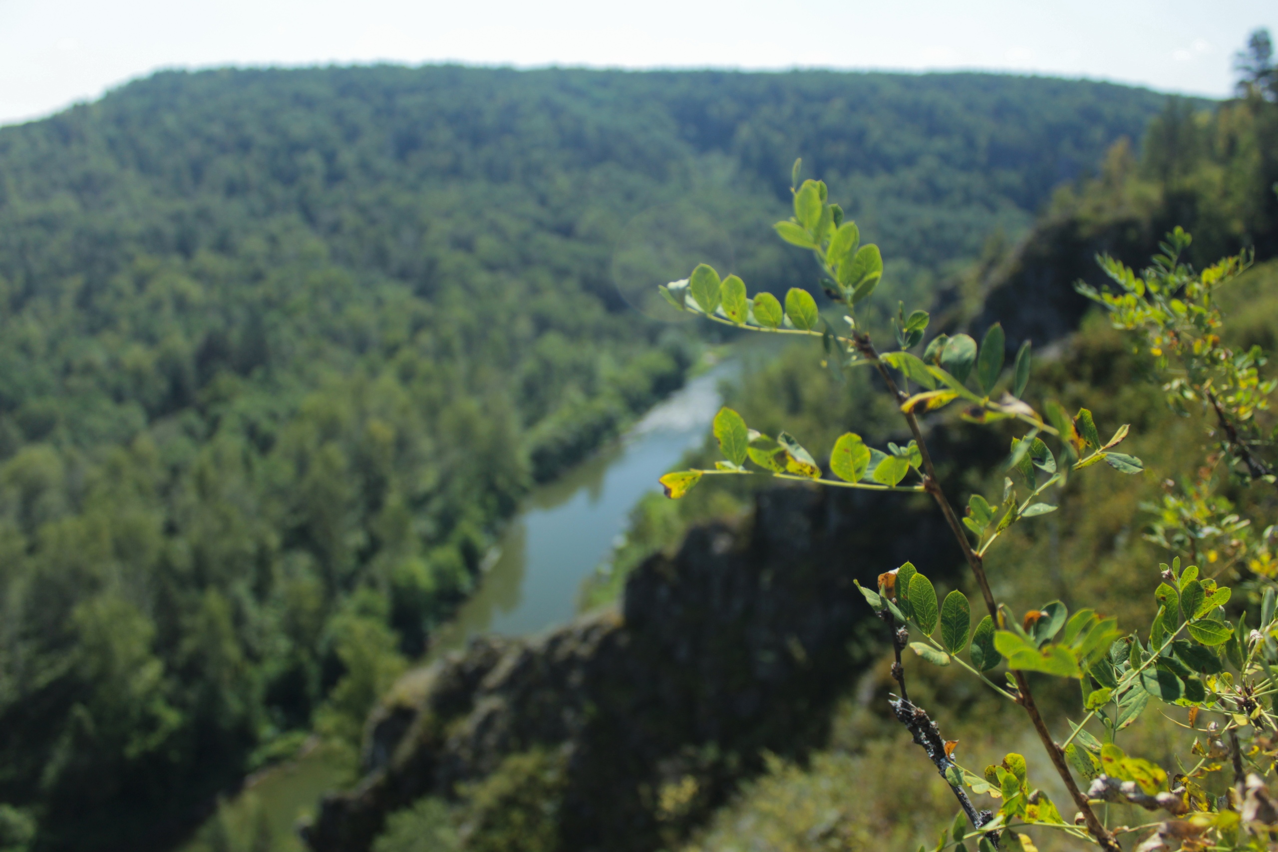 Куда поехать на майские праздники: обзор вариантов в Новосибирской области