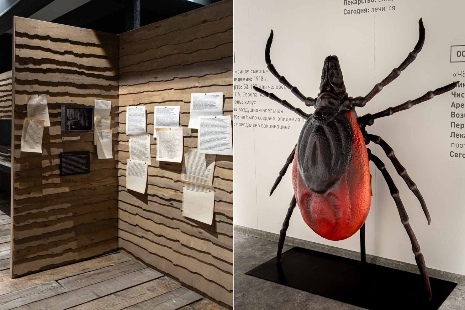 Поймать клеща с поличным предлагают в новосибирском Музее природы