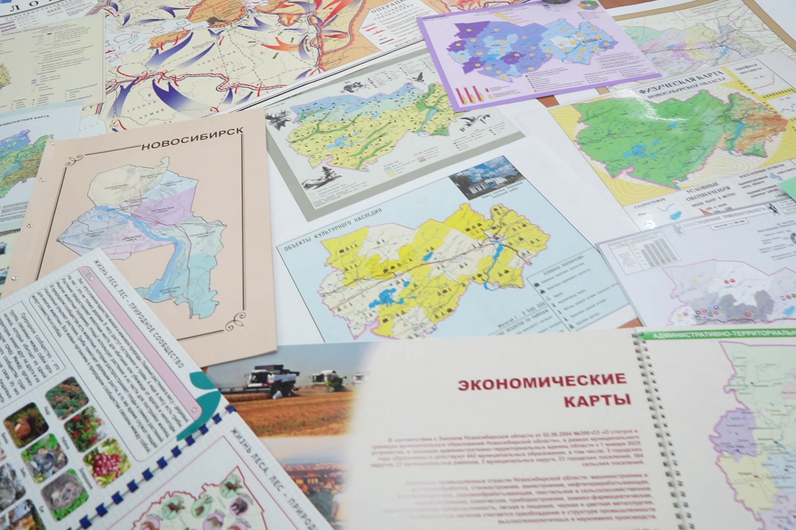 Геодезия стирает границы: девушки выбирают работу для Крайнего Севера