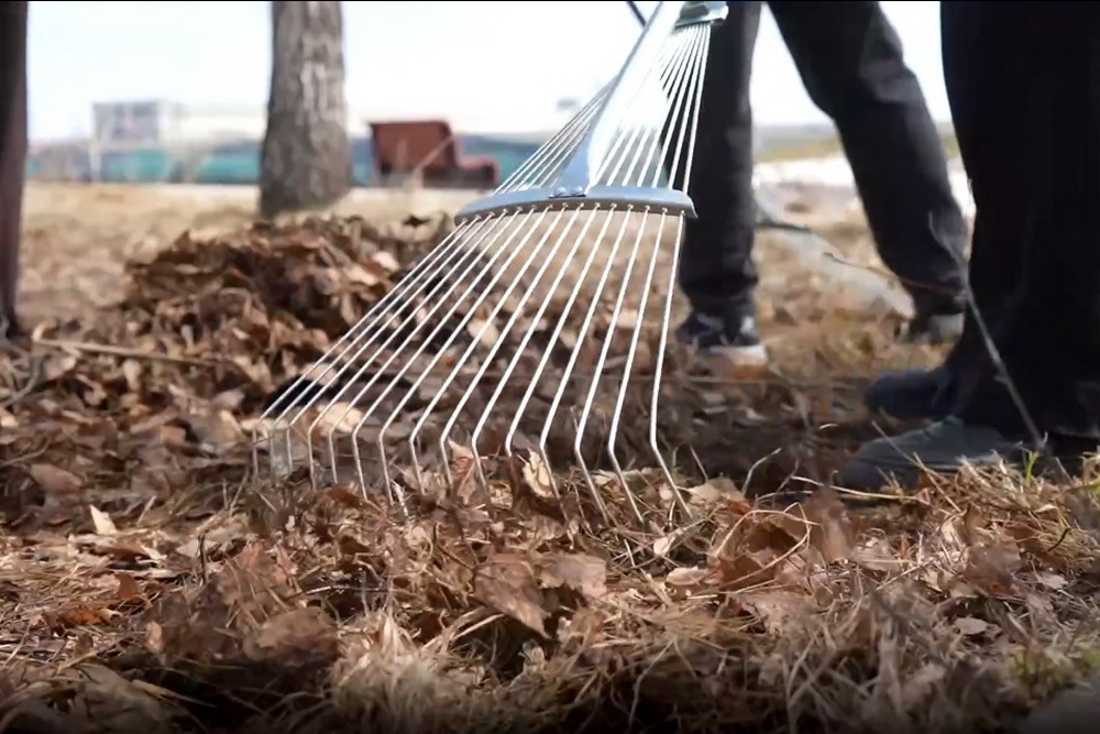 Фестиваль «Эколайк»: как музыка, пироги и уборка объединяют жителей ОбьГЭС