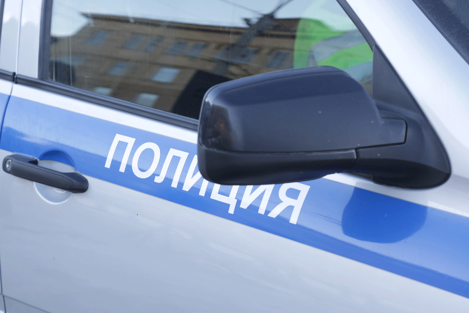 Томич натравил метиса питбуля на прохожего в Новосибирске