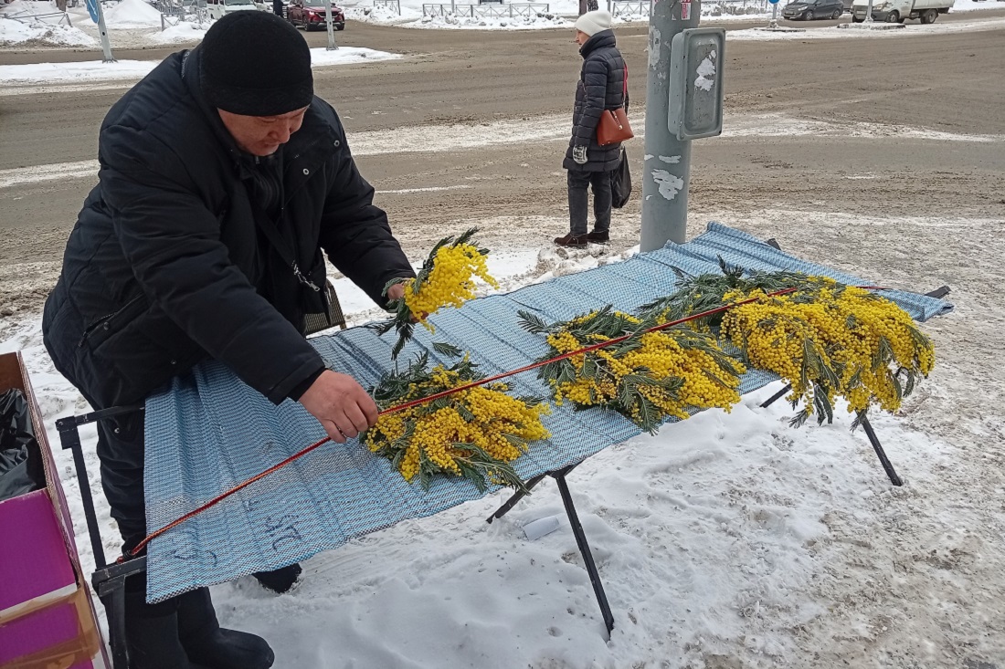 Продажу цветов к 8 Марта открыли на улицах Новосибирска