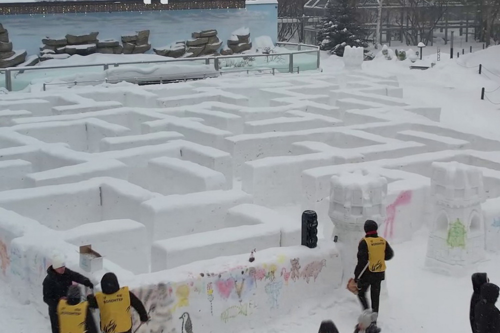 Попробуй выбраться: снежный лабиринт соорудили в Новосибирском зоопарке