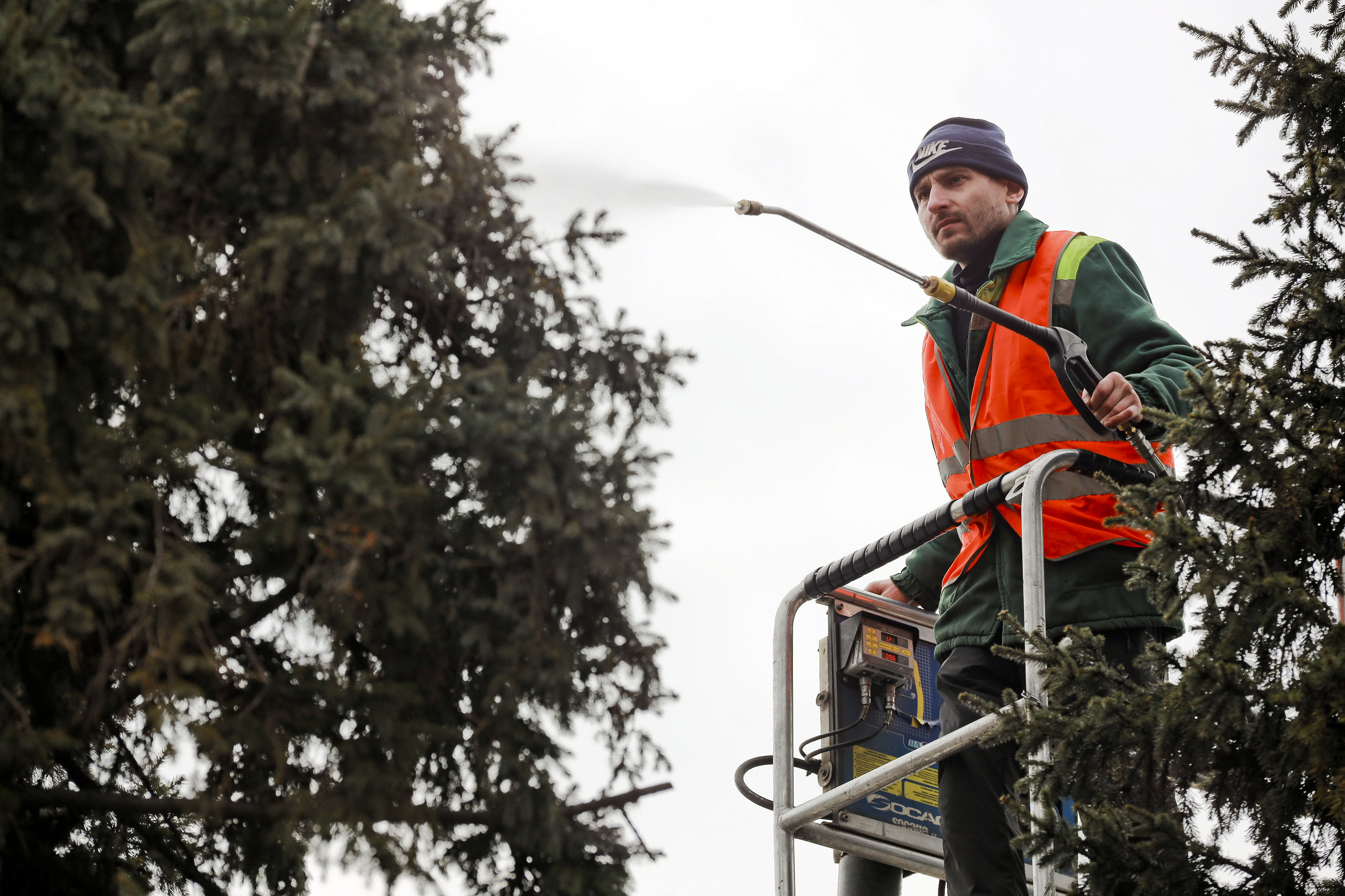 Если вы пропустили: душ для ёлок, чёрная точка и трамвай до автовокзала