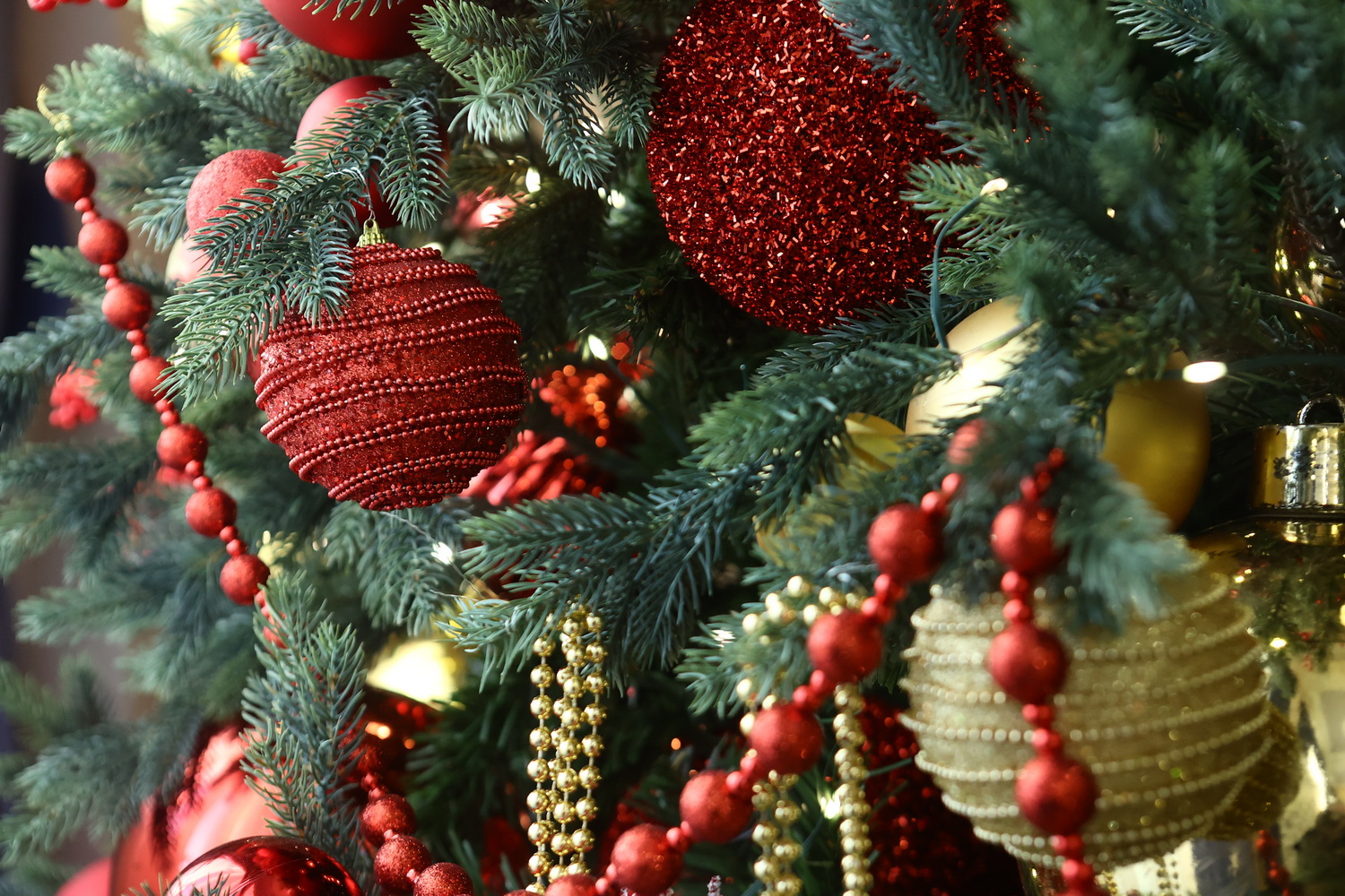 Новосибирцы рассказали о самых желанных подарках на Новый год