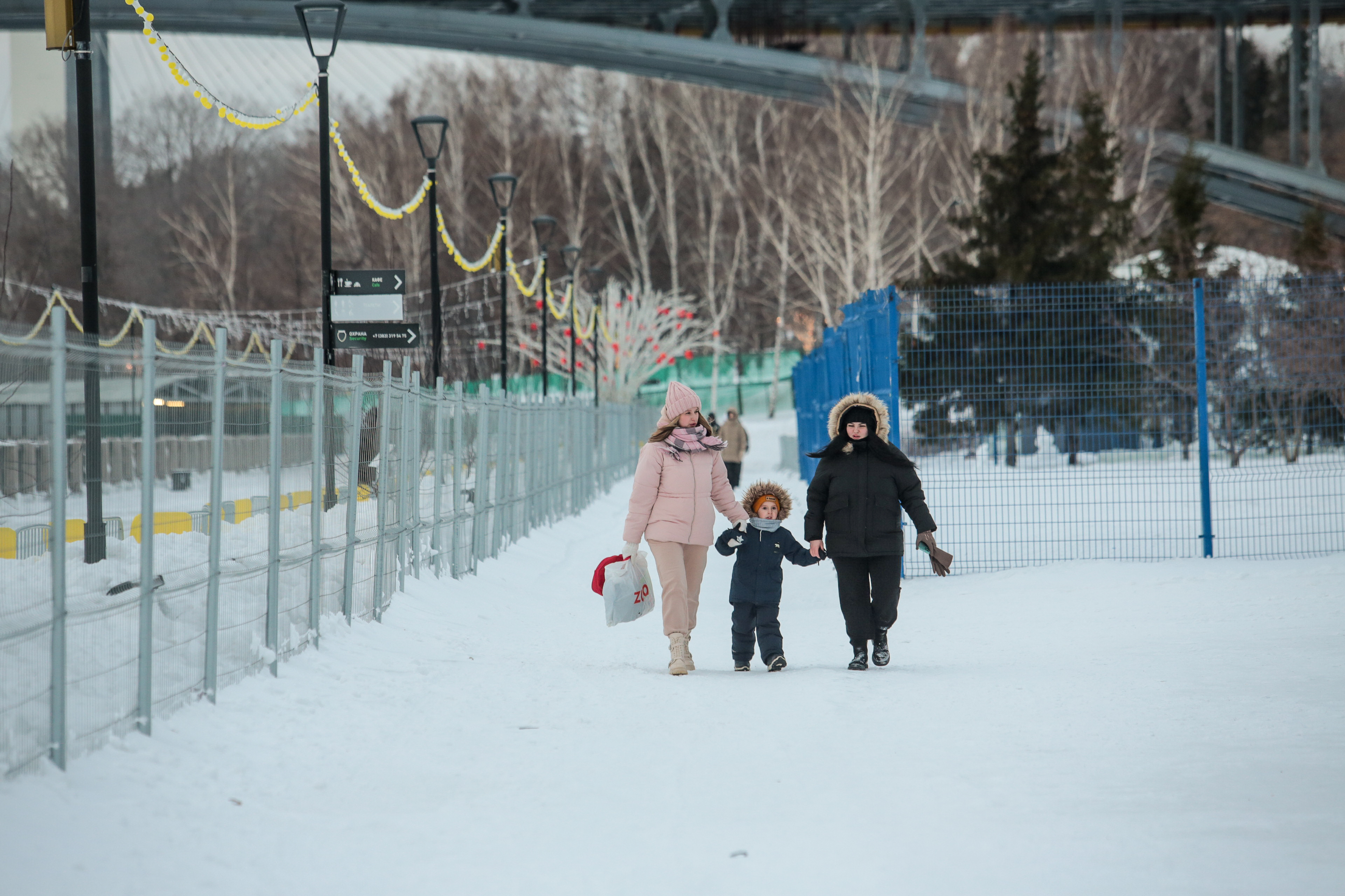 Неустойчивую погоду с оттепелями до +5 прогнозируют в регионе