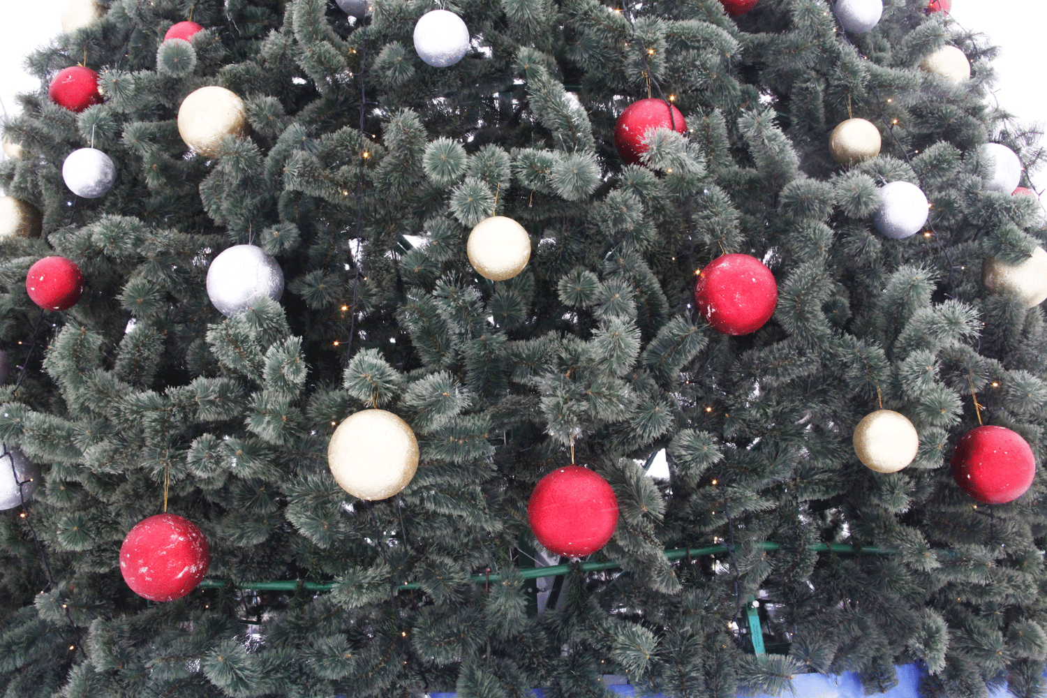 Смешарики, Зимуля и Снеговик откроют районные ёлки в Новосибирске