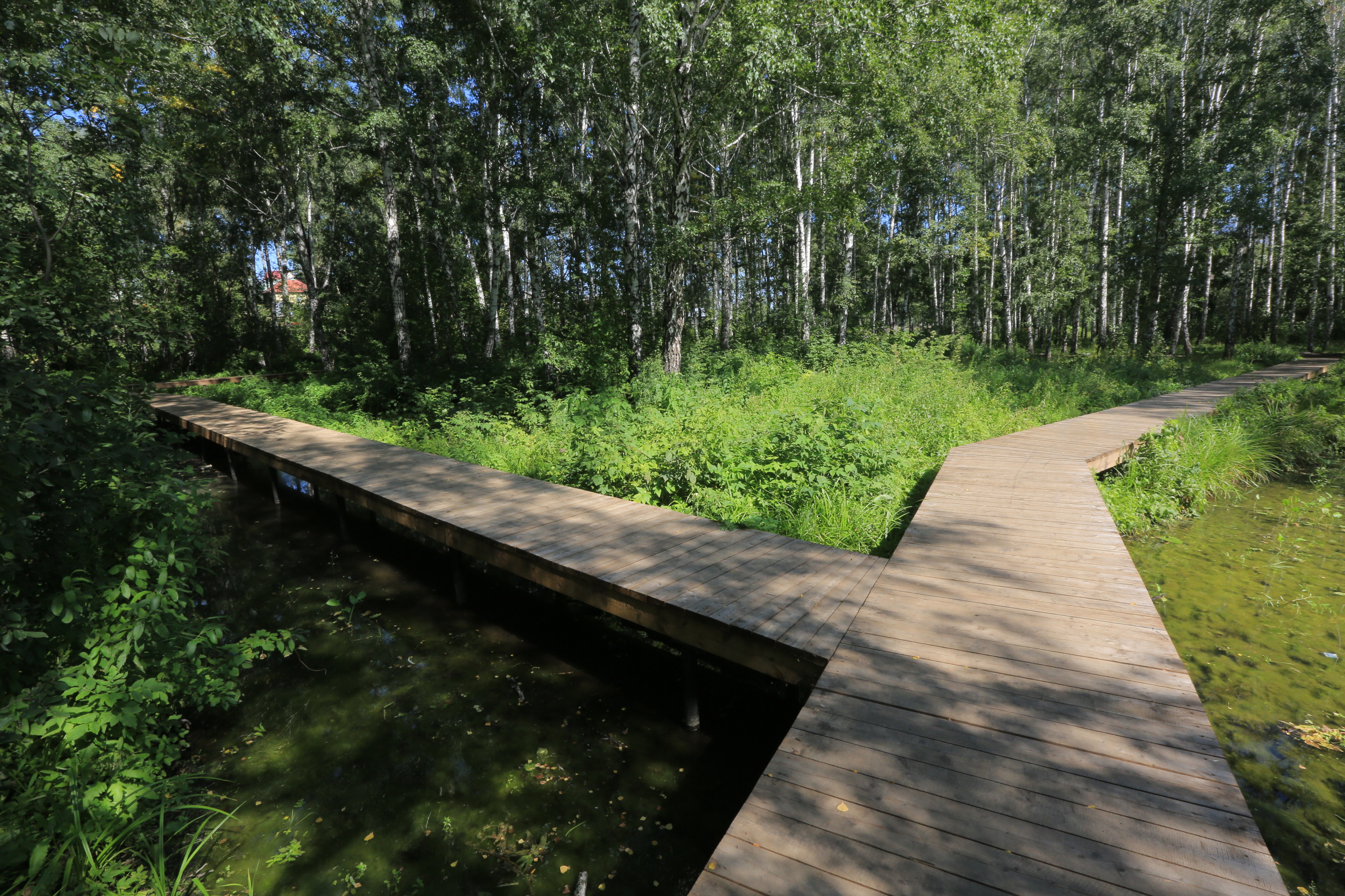 Мэр Кудрявцев сообщил, в каких парках и скверах начнётся благоустройство