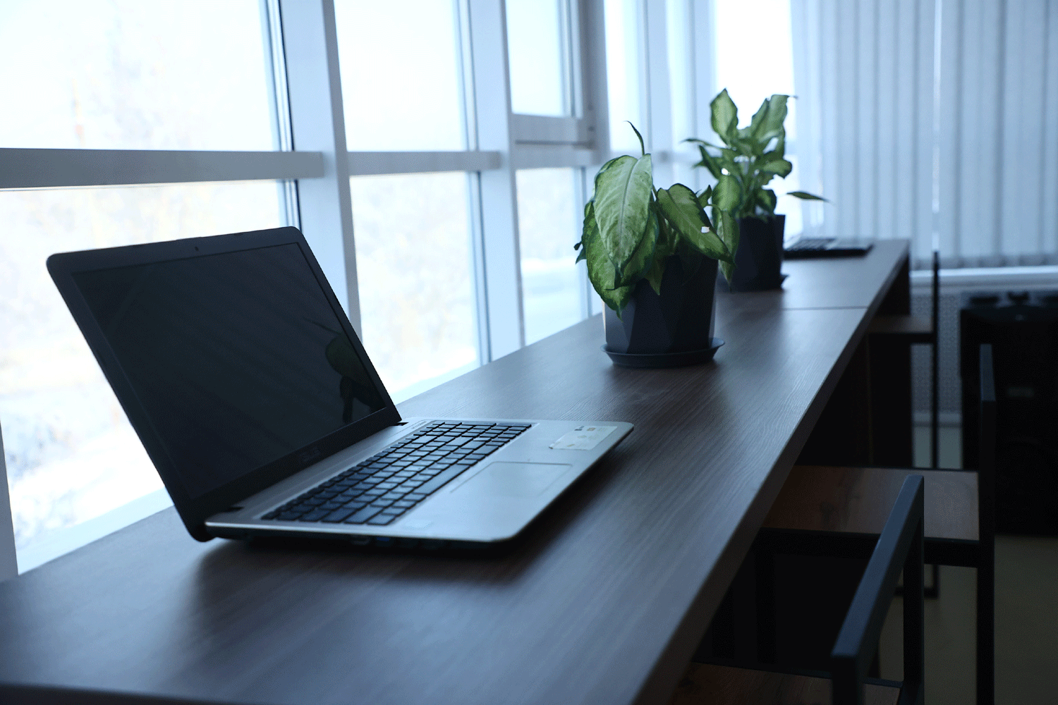 Открыть своё дело помогут 45 ветеранам СВО в Новосибирской области