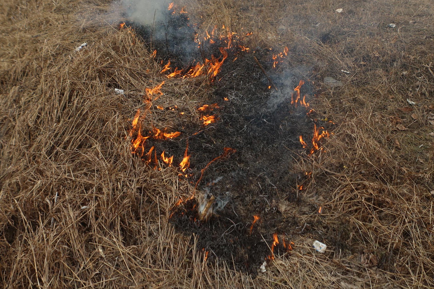 Мангалы и костры на дачах новосибирцев проконтролируют беспилотники