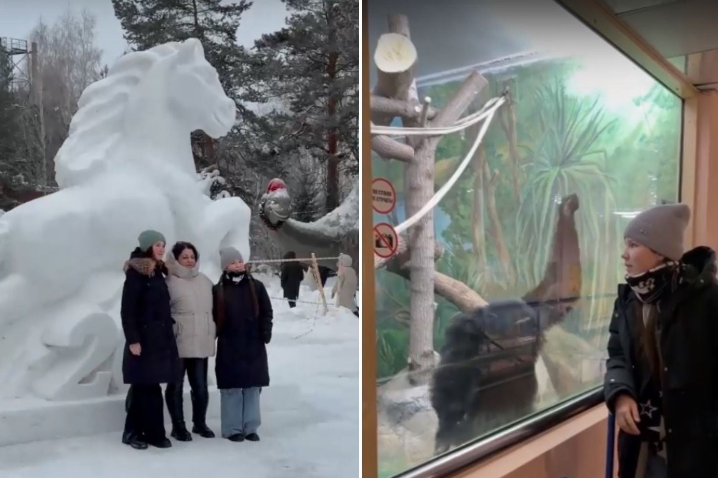 Мэр Кудрявцев: мечте двух сестёр из Томска помогли сбыться в Новосибирске