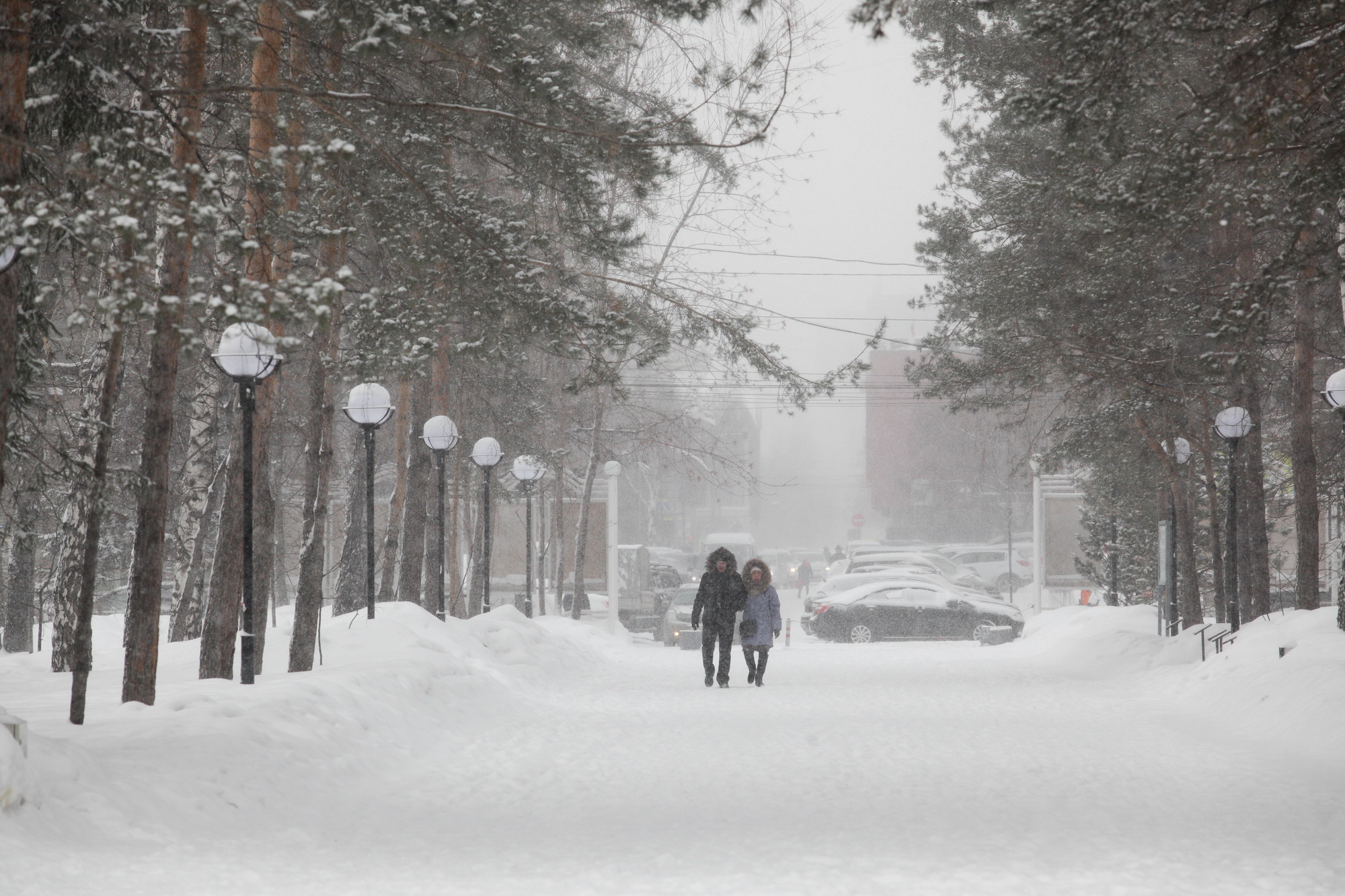 Метели со штормовым ветром идут в Новосибирскую область