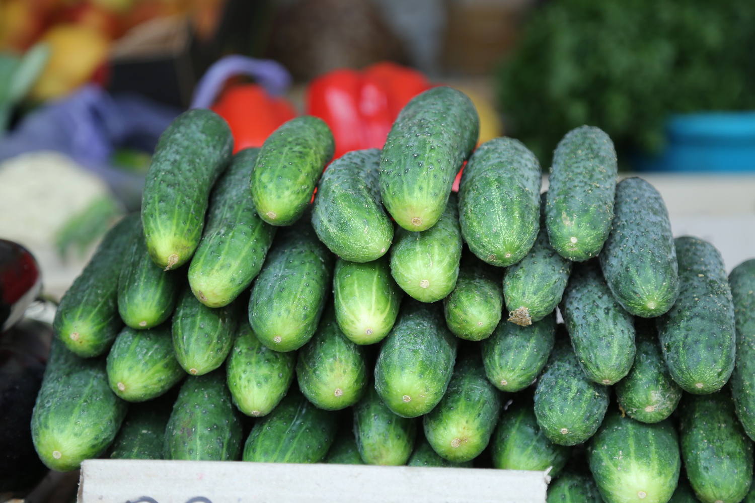 Огурцы, индейка и меновазин подорожали перед Новым годом в Новосибирске