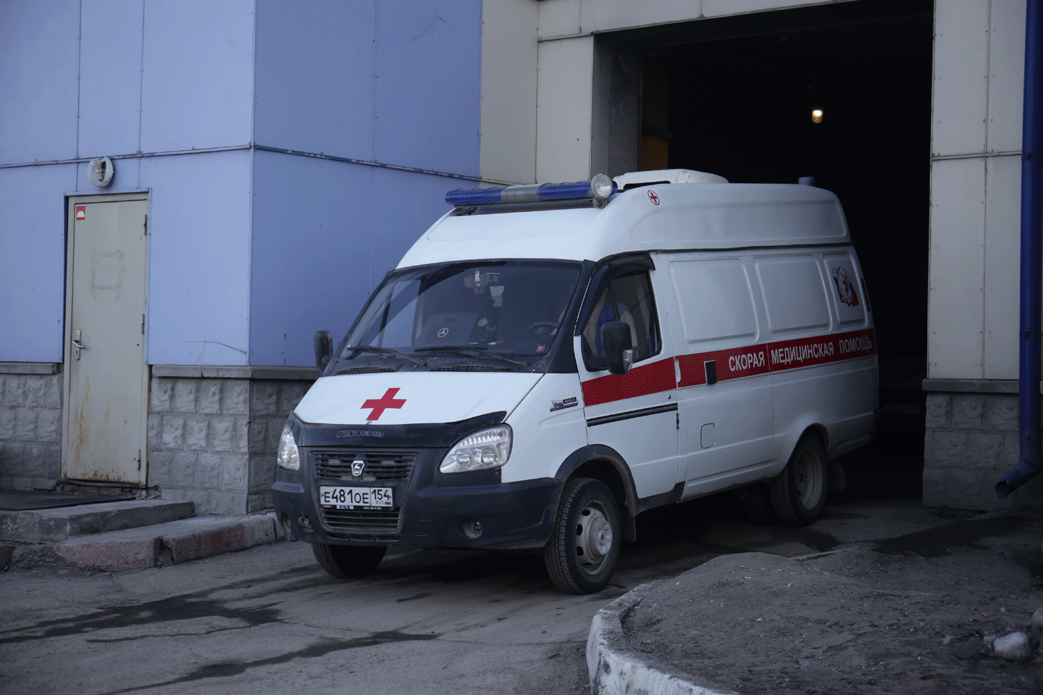 Число случаев сальмонеллёза сократилось на треть в Новосибирской области