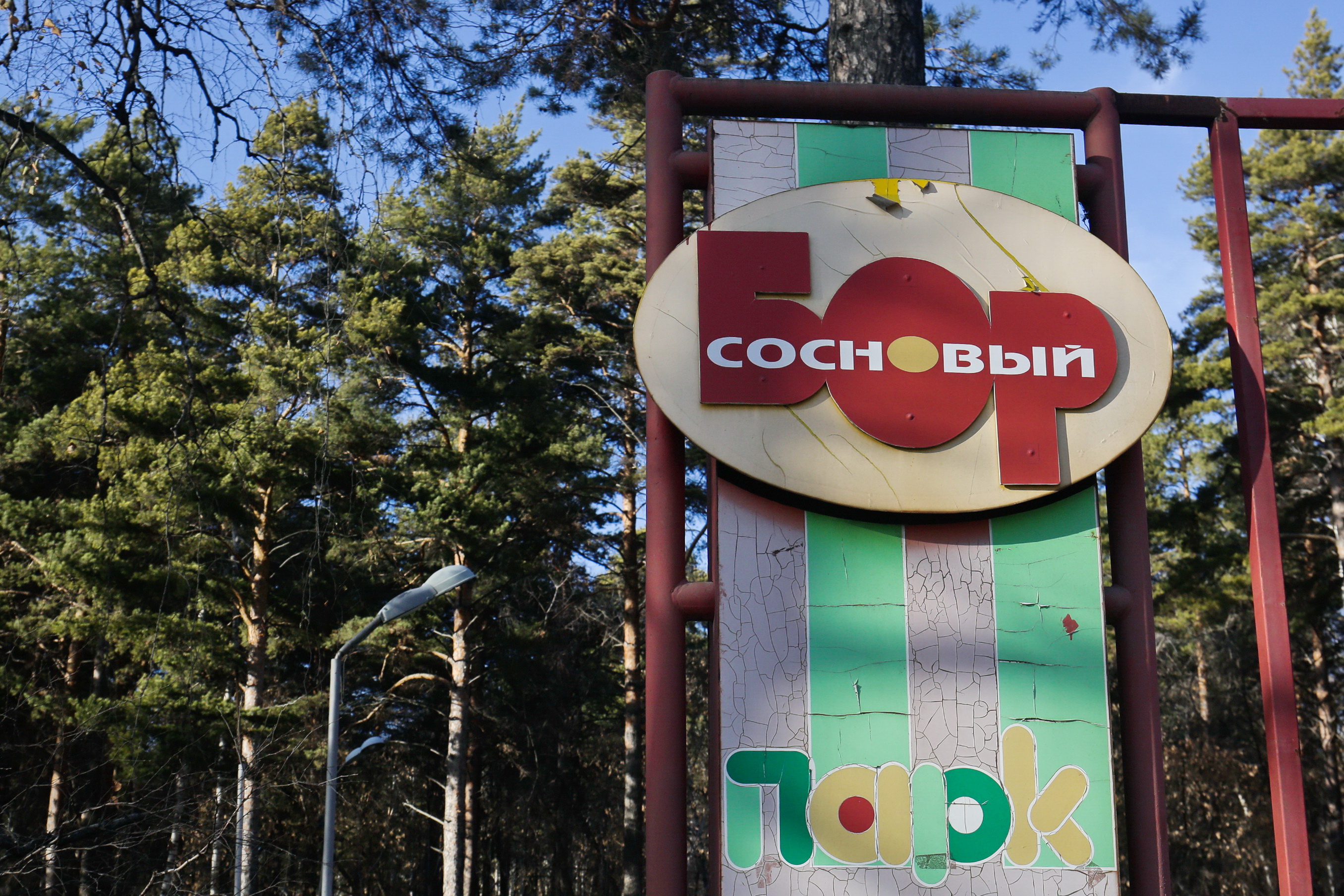 Парк «Сосновый бор» позвал новосибирцев на 50-летний юбилей