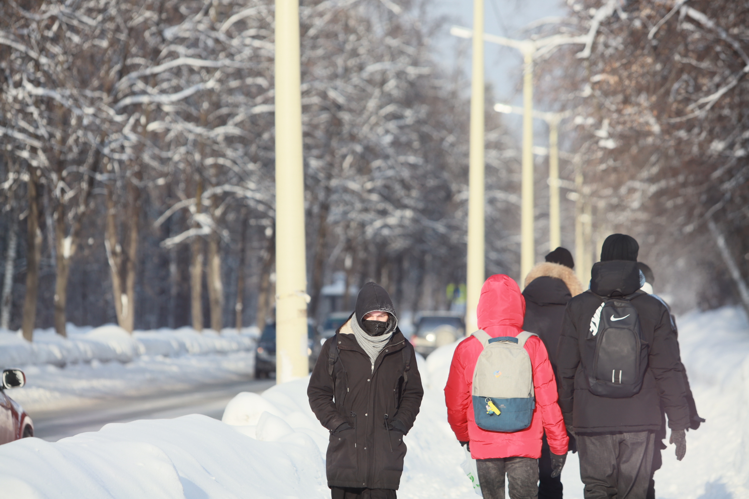 Туристы с Маврикия и Гаити заинтересовались Новосибирской областью