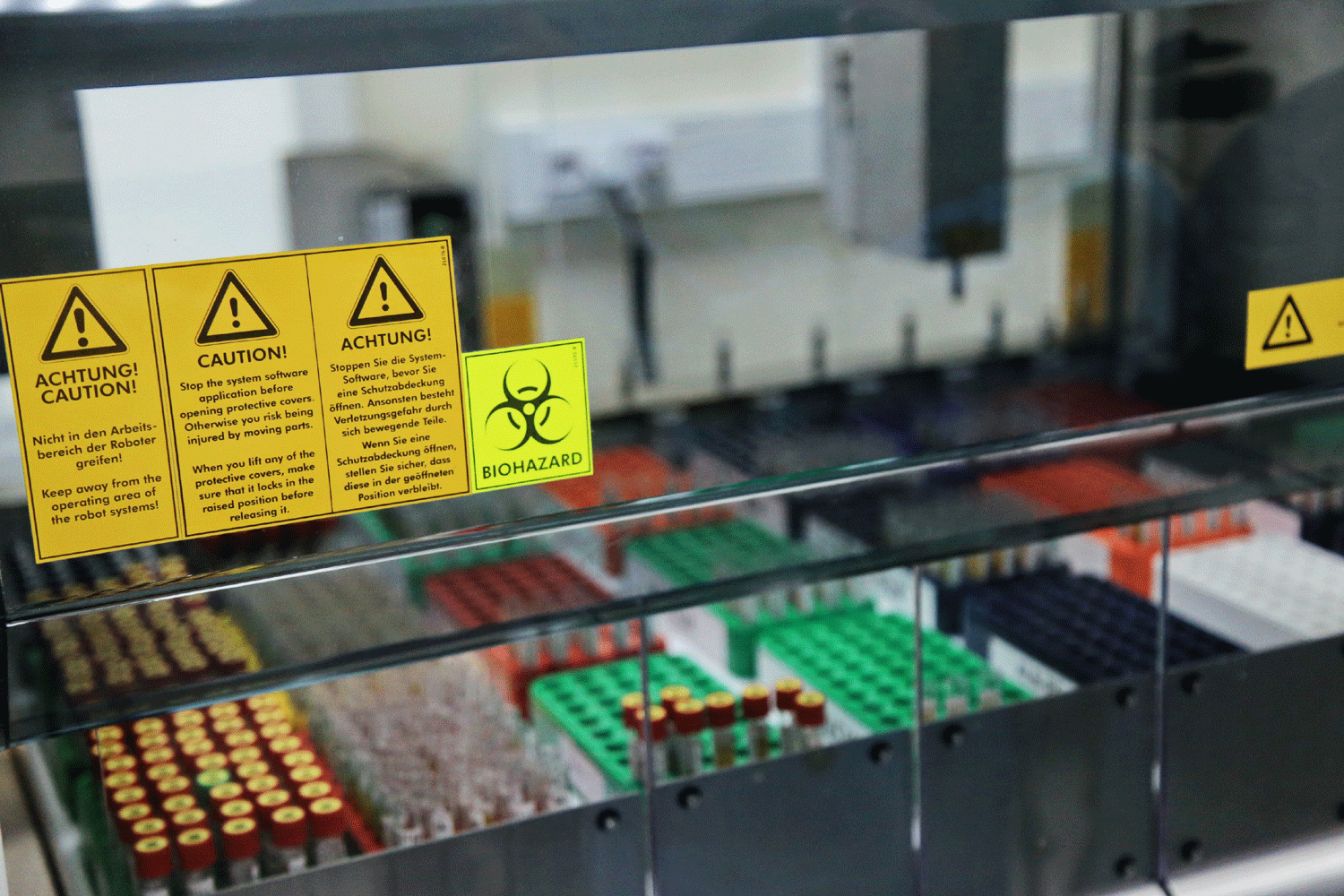 Вирусолог Нетёсов рассказал о рисках завоза вируса Нипах в Россию