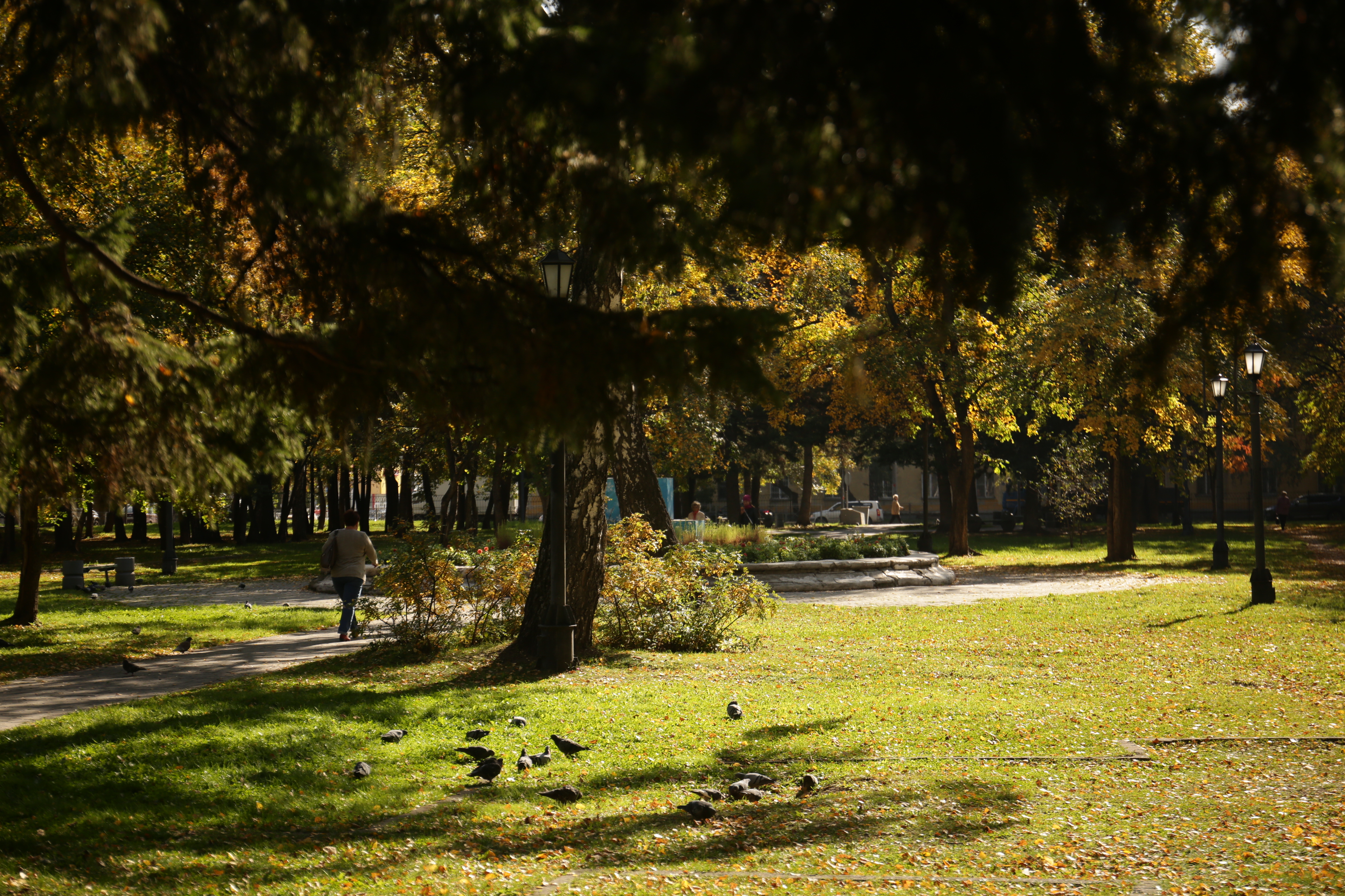 81 объект выдвинули на зелёные выборы в Новосибирской области