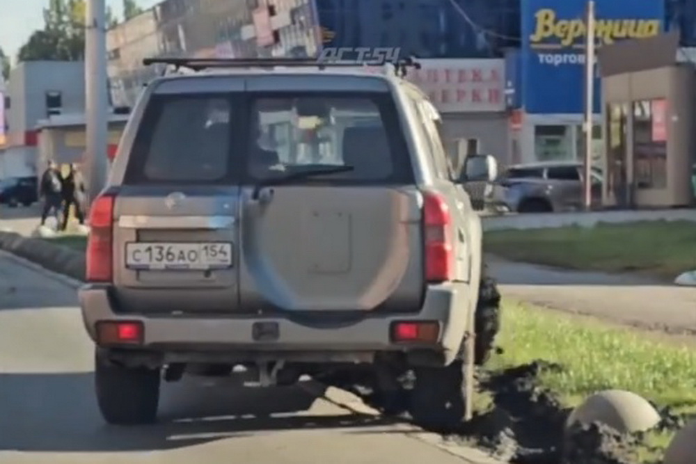 С повредившего газон новосибирца взыщут почти 18 тысяч рублей