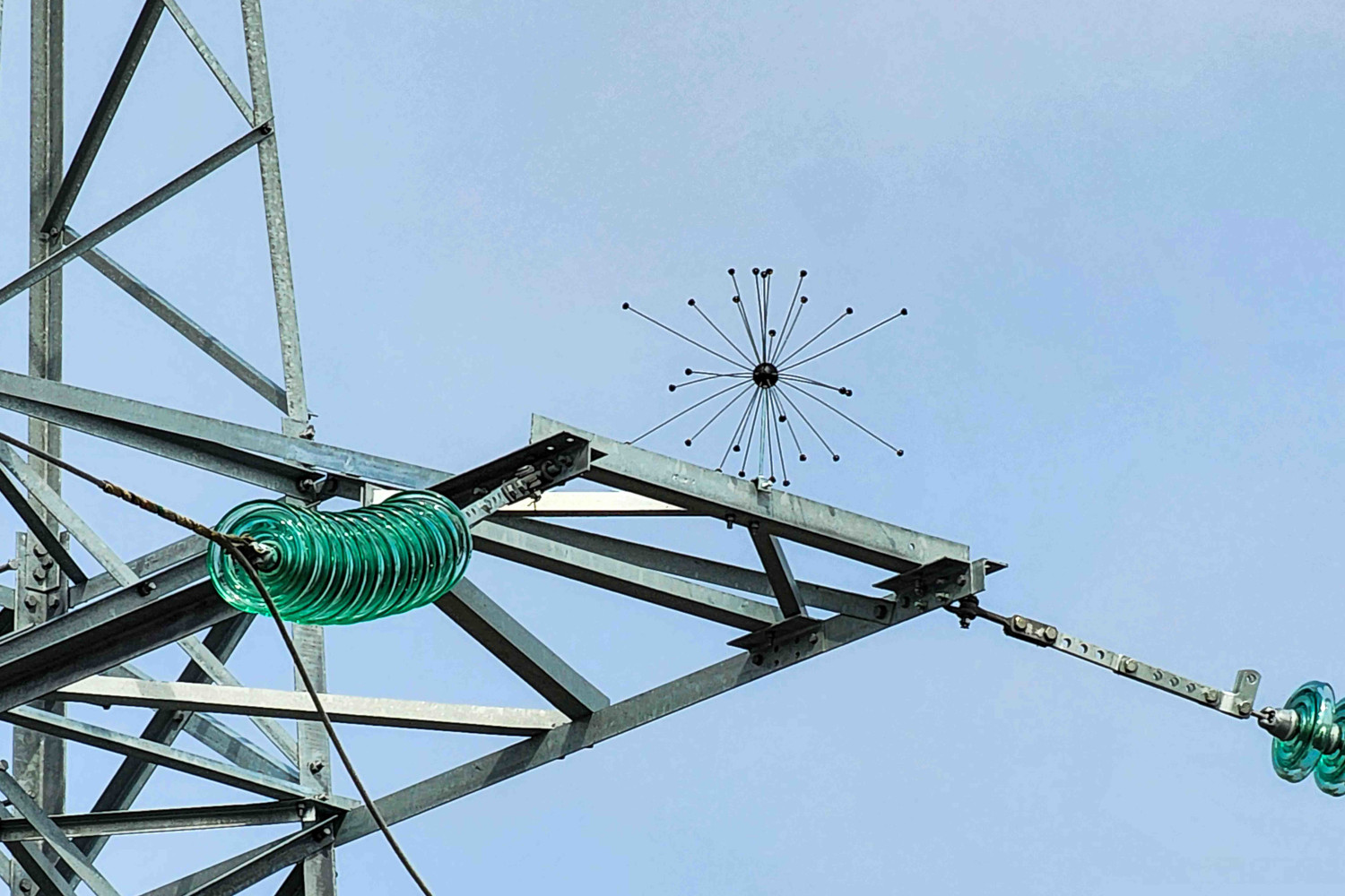 На новосибирских ЛЭП появились «иголки ежа» для спасения птиц