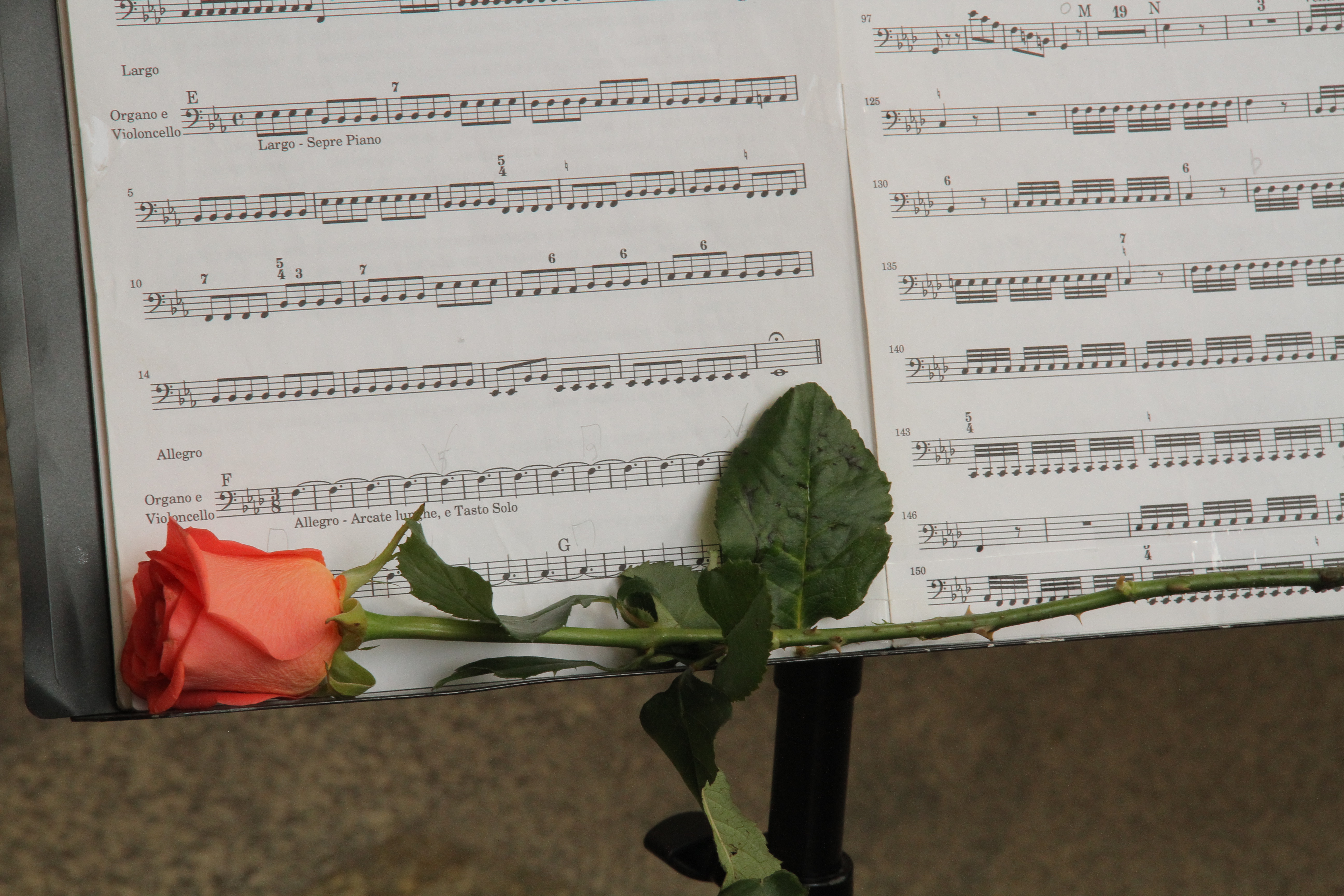 Фестиваль патриотической песни имени Кобзона пройдёт в Новосибирске