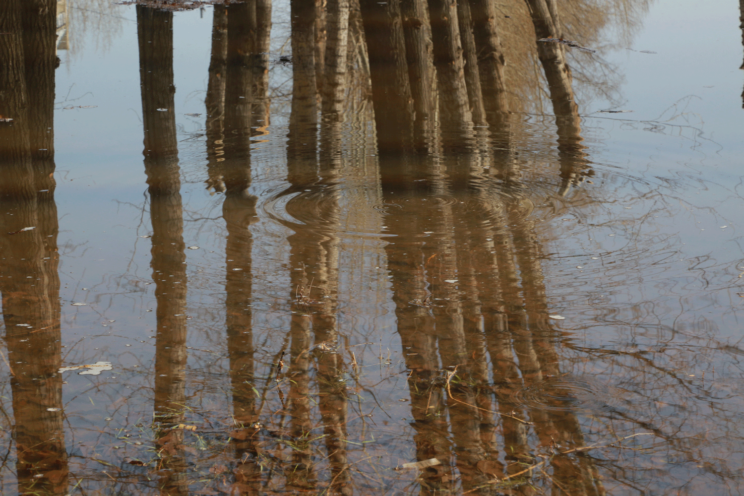 Спасателей добавили на юге Новосибирской области из-за риска подтоплений